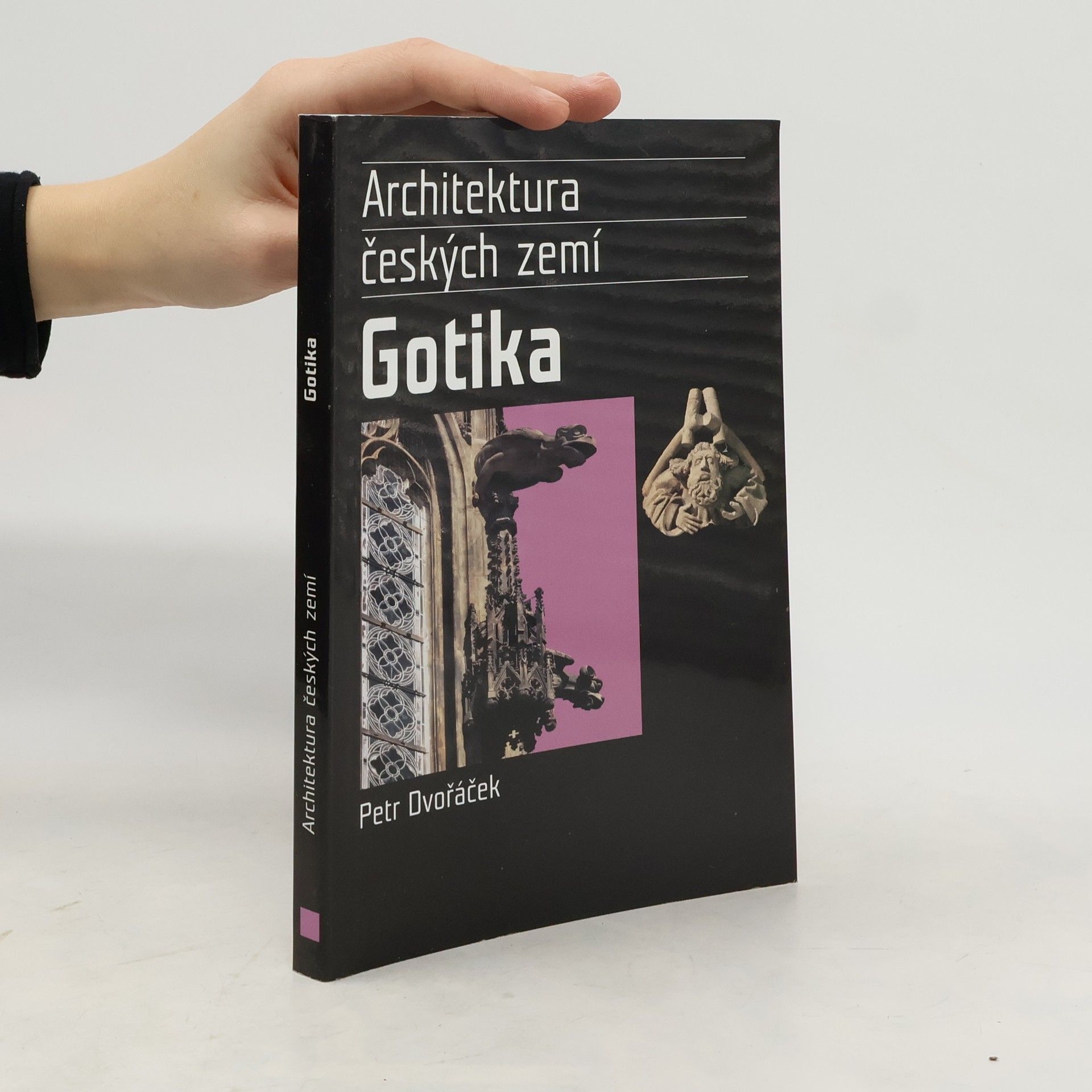 Petr Dvořáček Gotika. Architektura českých zemí