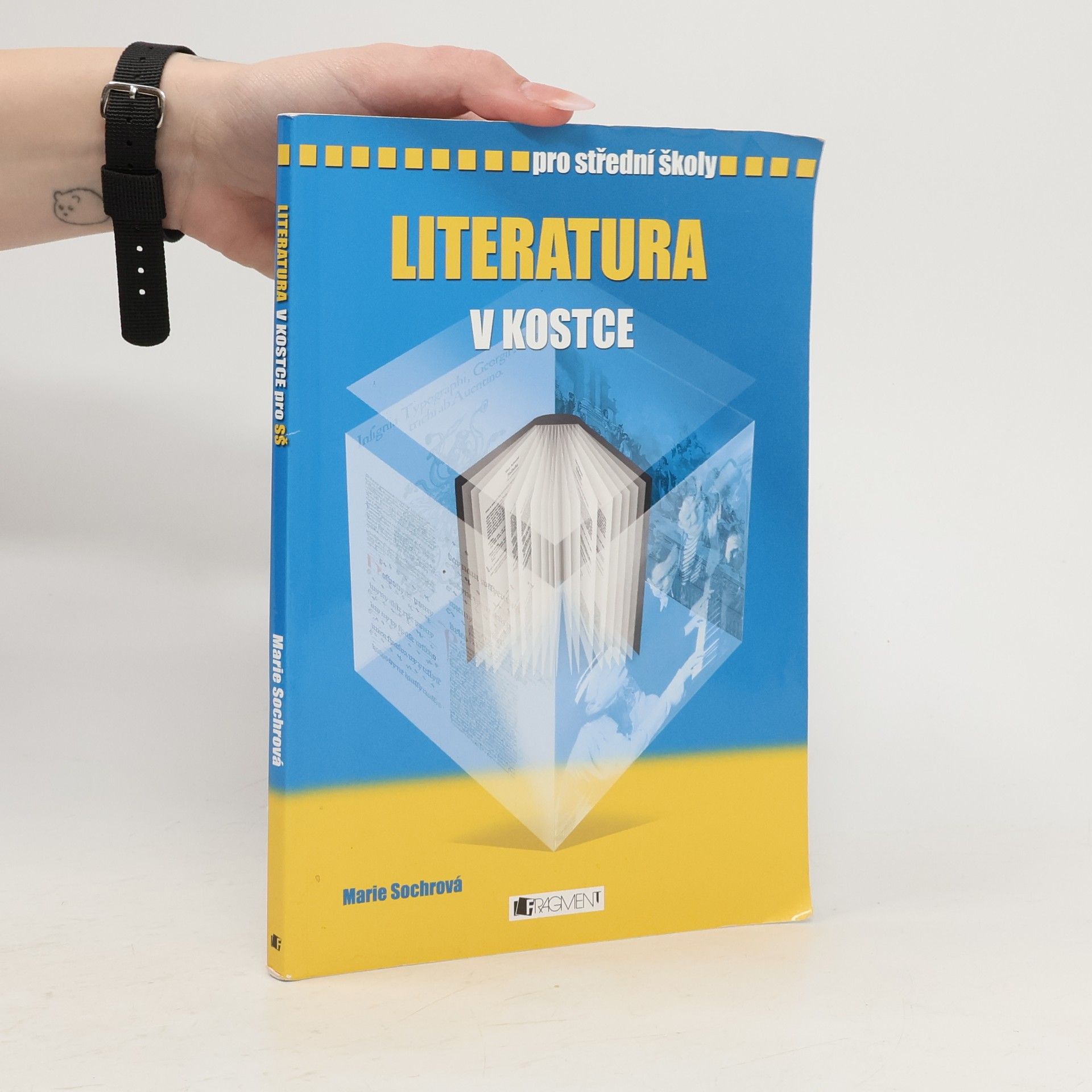 Marie Sochrová Literatura v kostce : pro střední školy