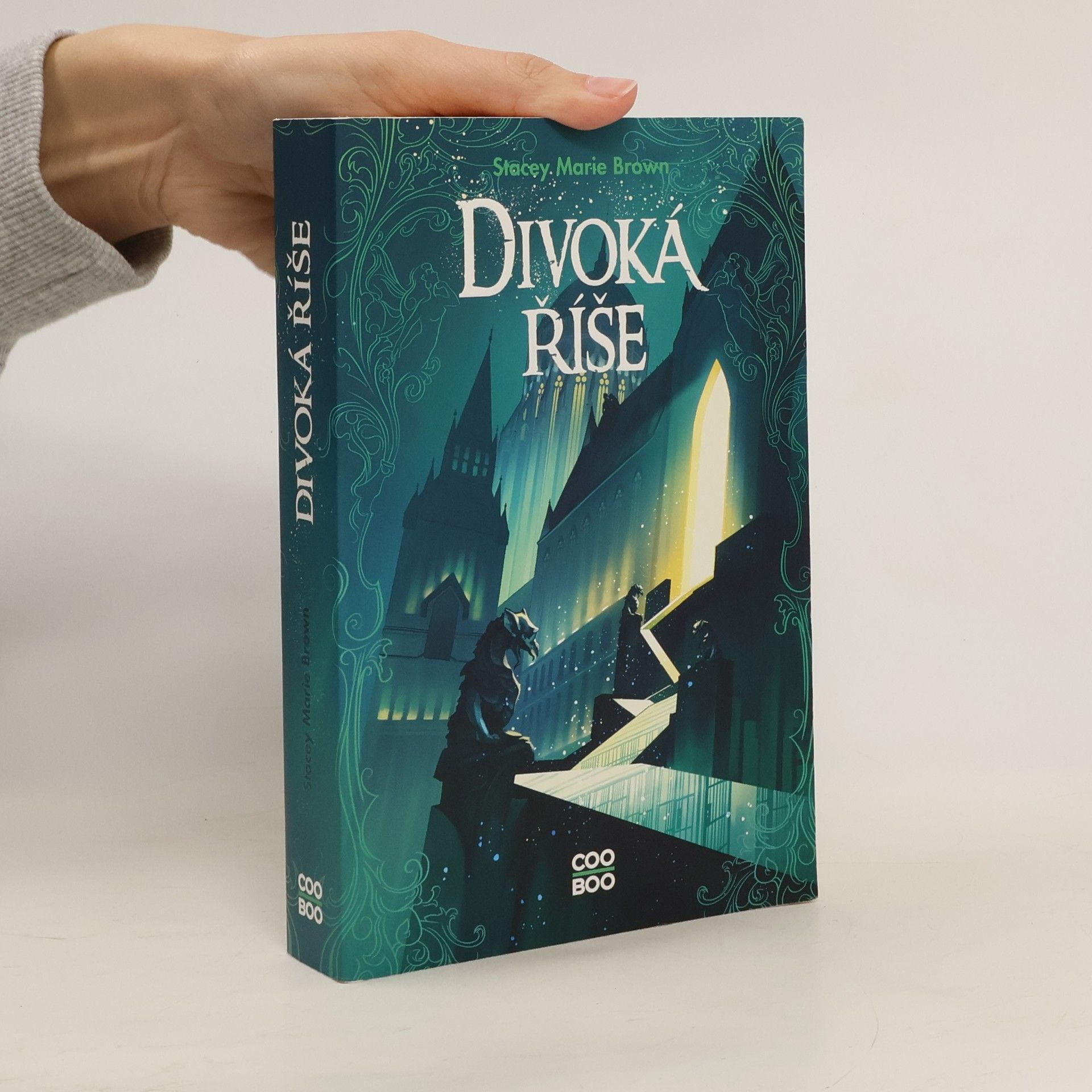Stacey Marie Brown Divoká říše