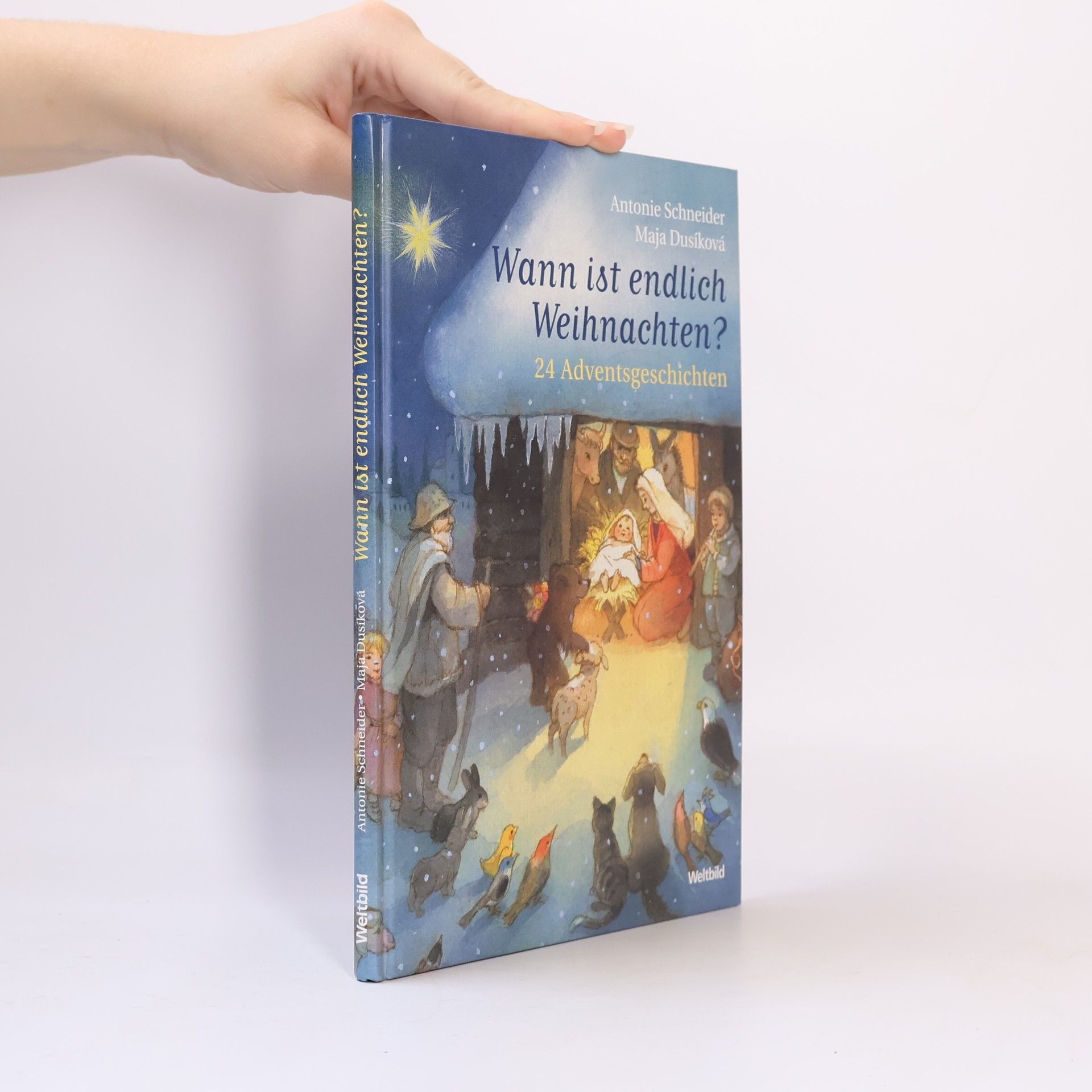 Antonie Schneider Wann ist endlich Weihnachten?