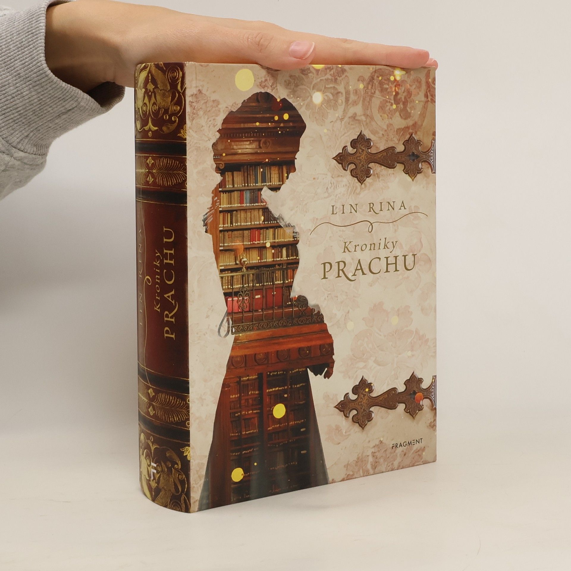 Lin Rina Kroniky prachu