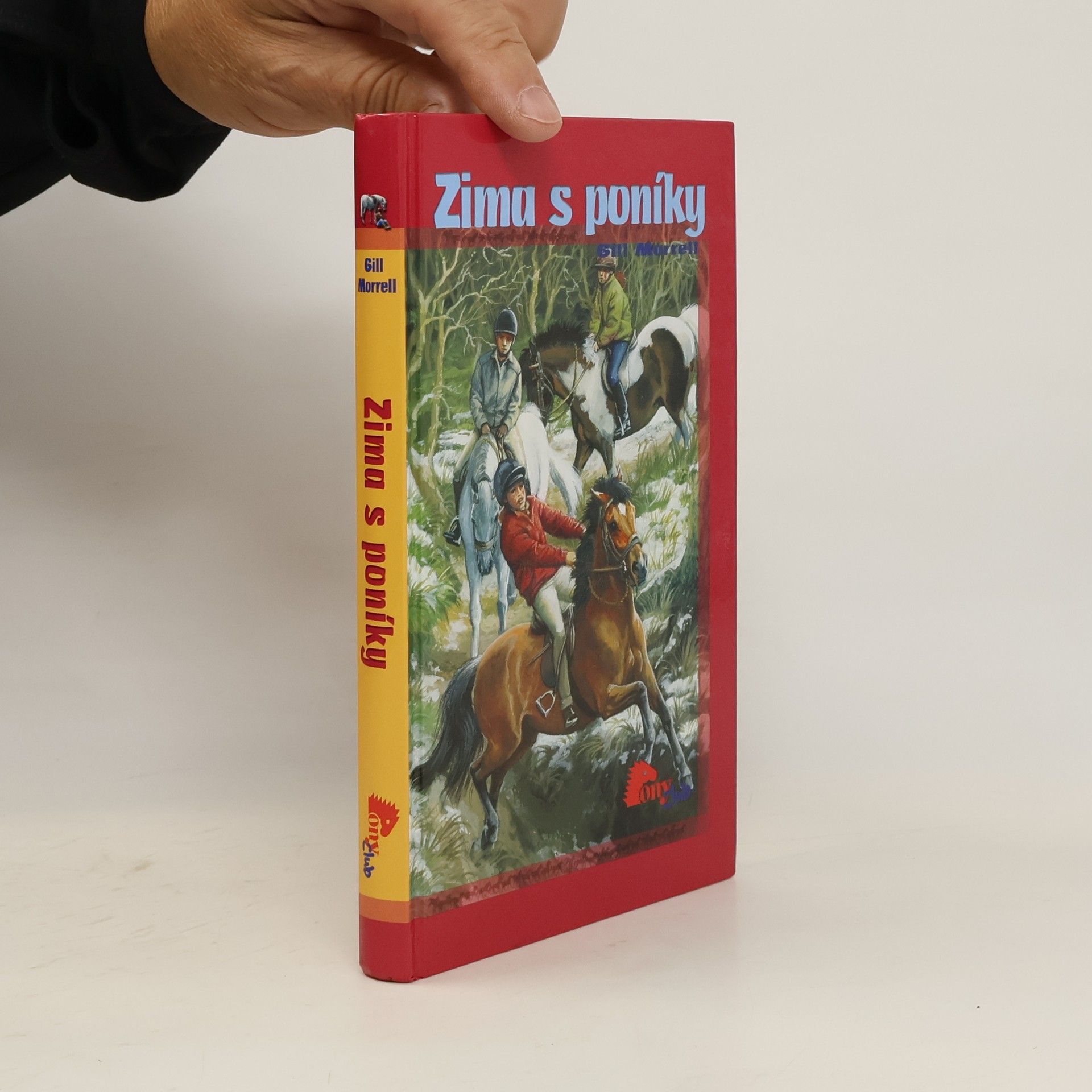 Gill Morrell Zima s poníky