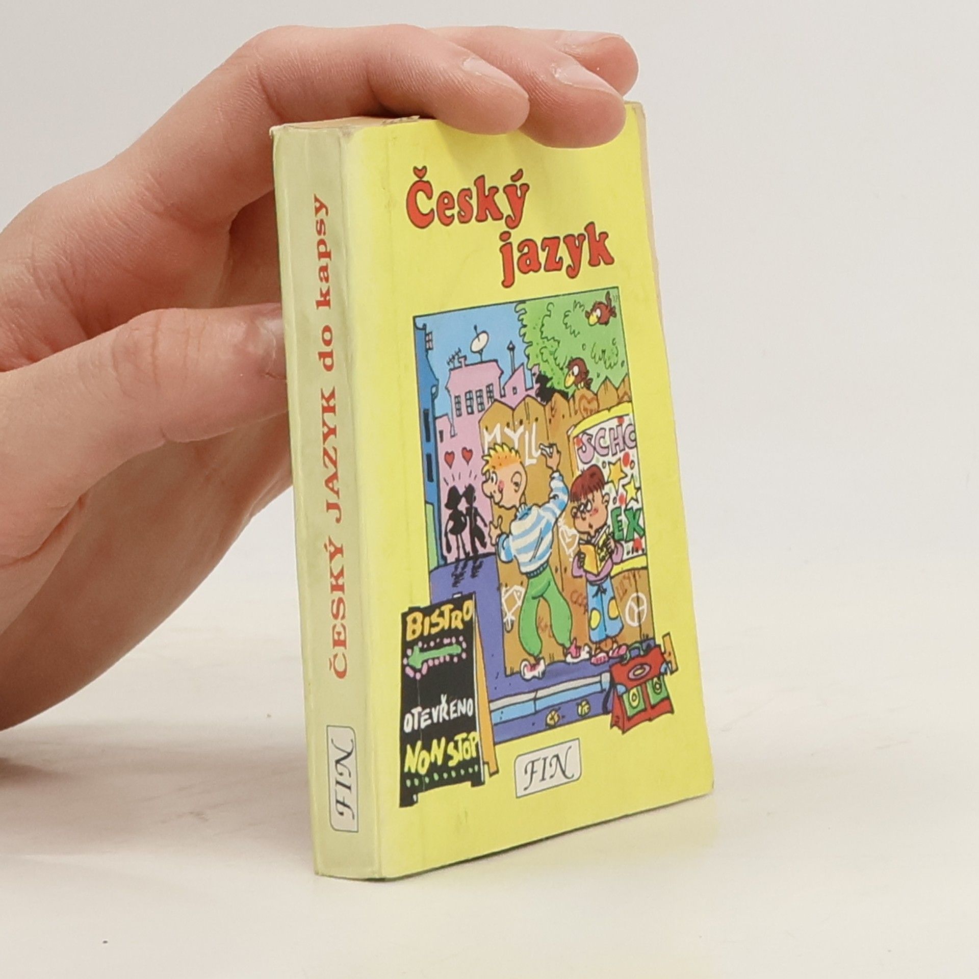 Alois Bauer Český jazyk do kapsy