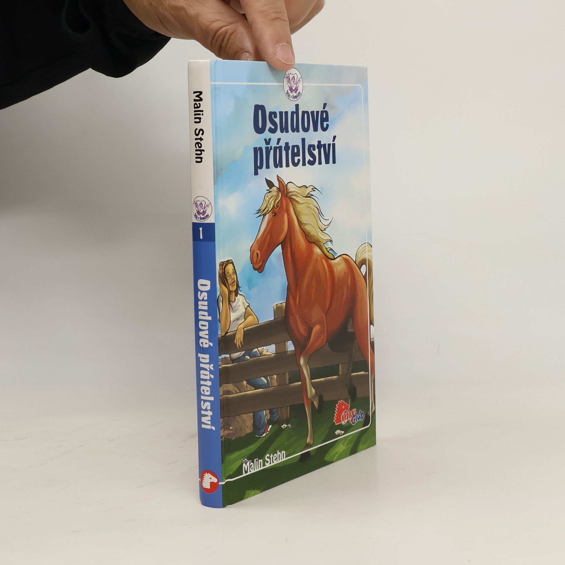 Malin Stehn Osudové přátelství