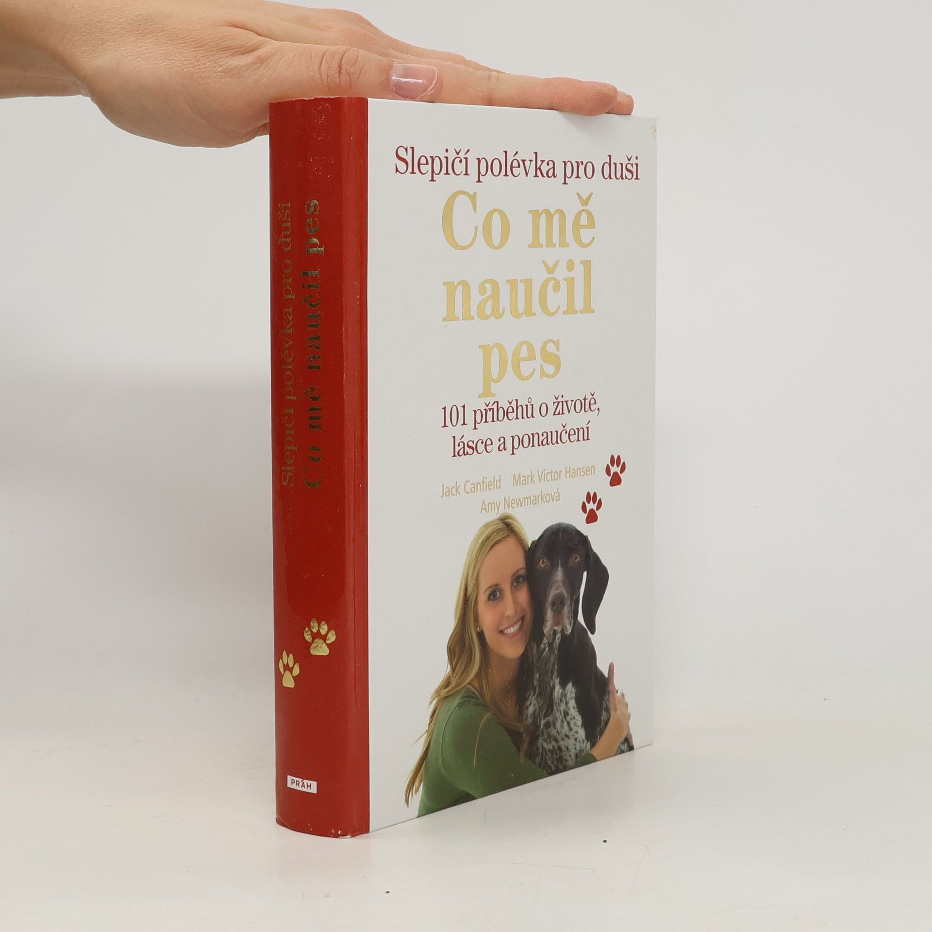 Jack Canfield Slepičí polévka pro duši : co mě naučil pes : 101 příběhů o životě, lásce a ponaučení