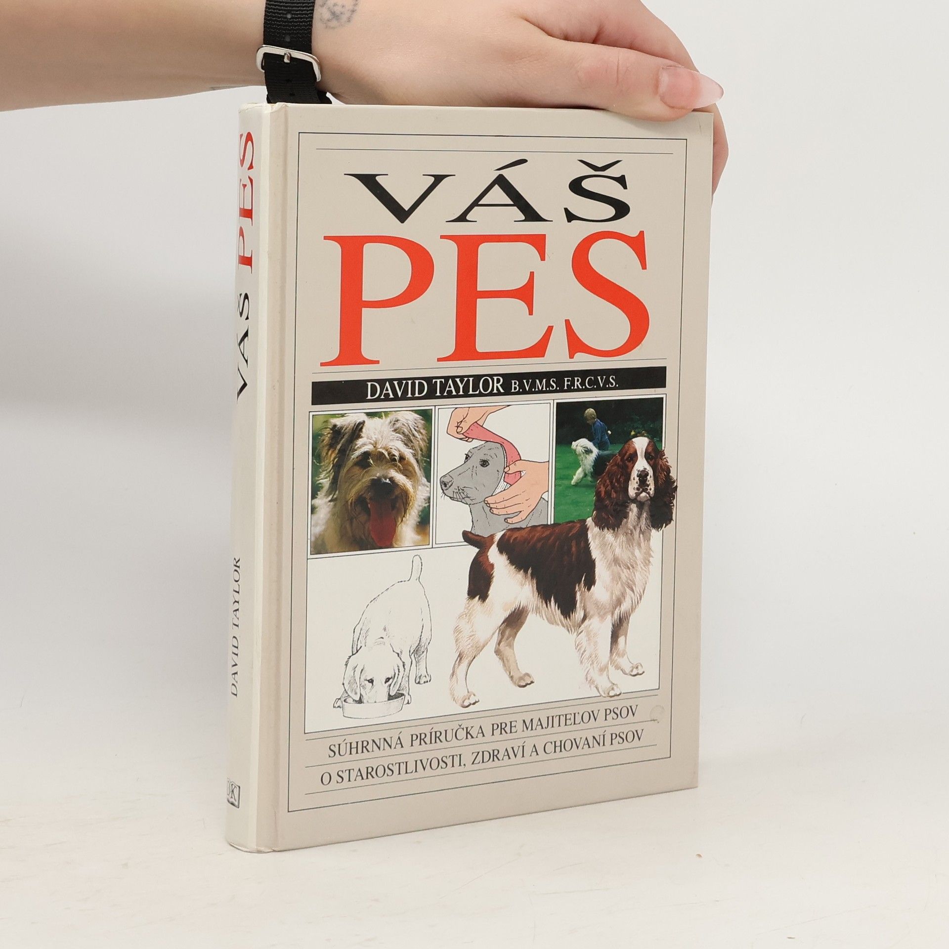 David Taylor Váš pes