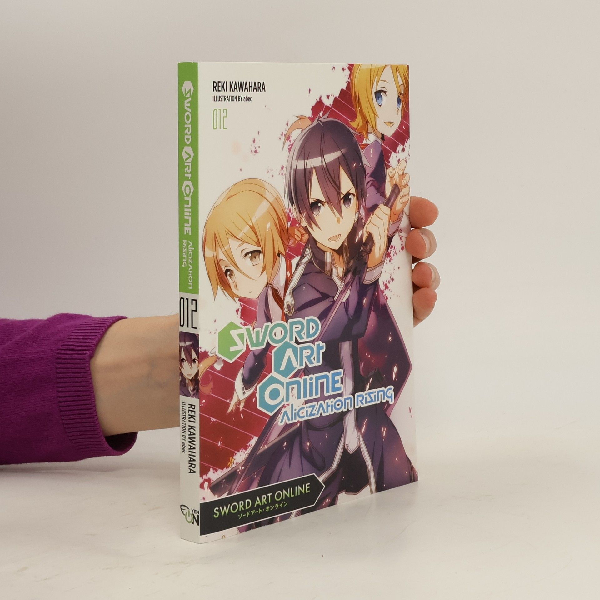 Reki Kawahara Sword Art Online, Vol. 12