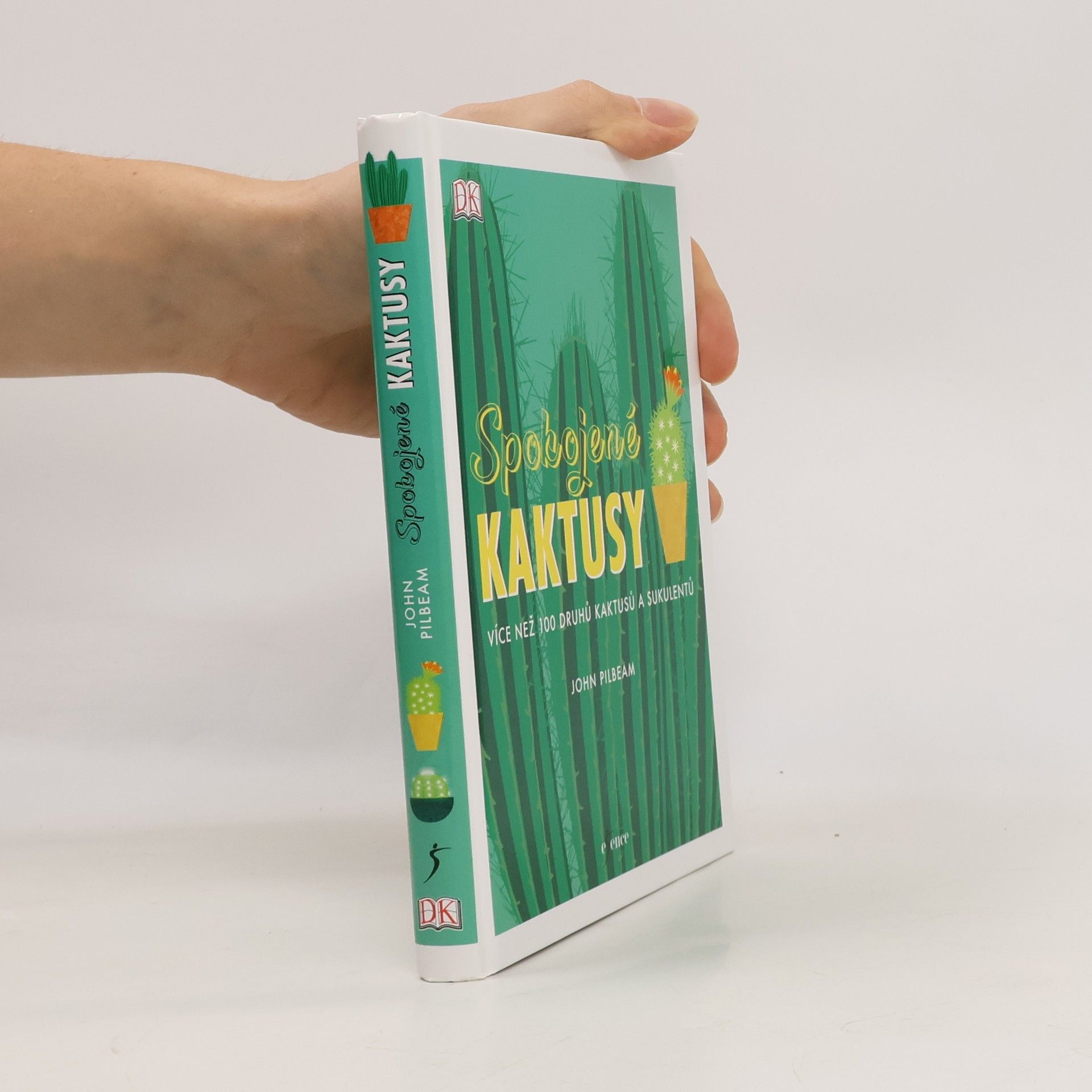 John Pilbeam Spokojené kaktusy