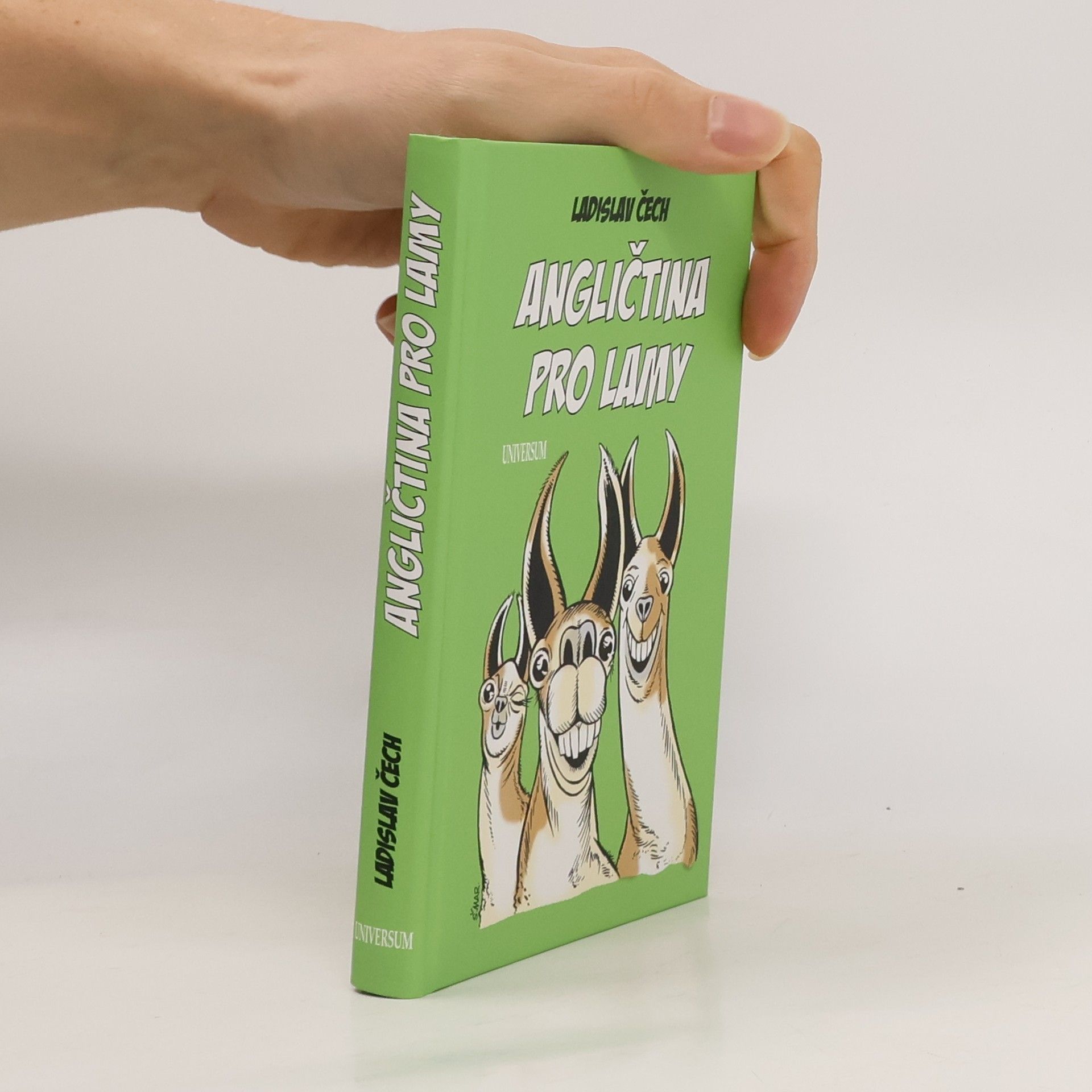 Ladislav Čech Angličtina pro lamy