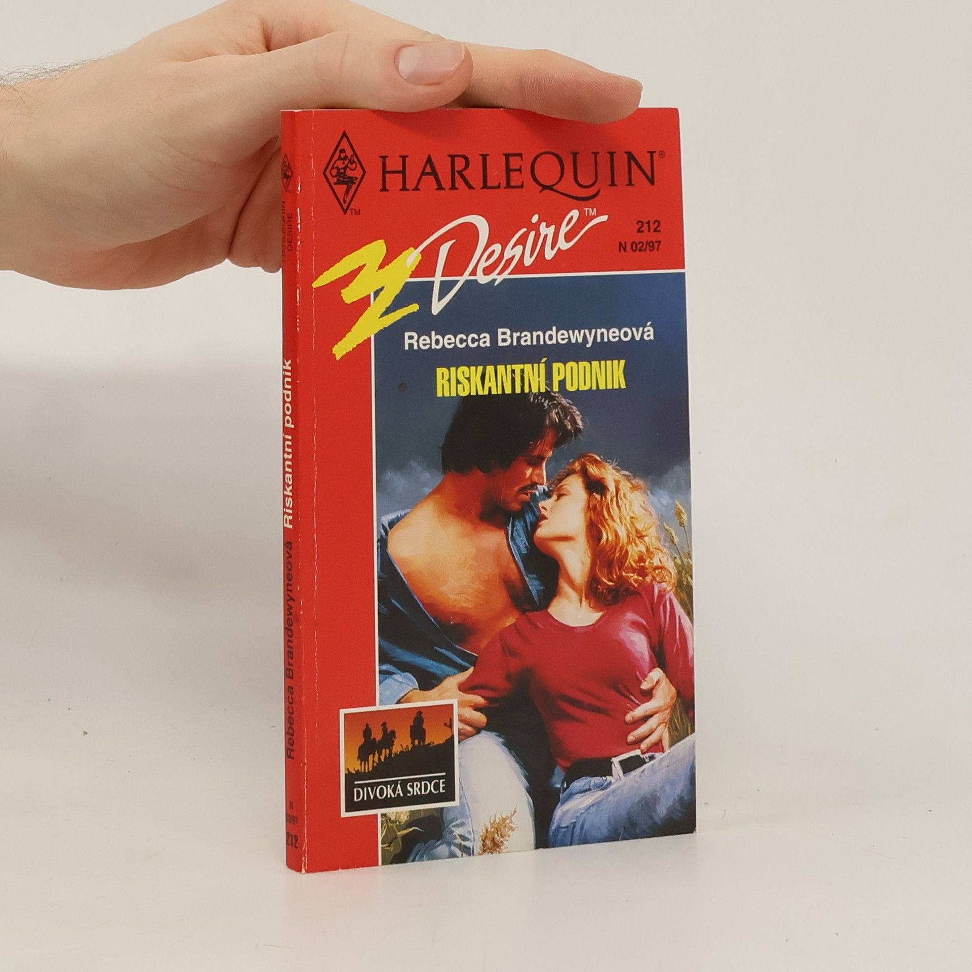 Rebecca Brandewyne Riskantní podnik