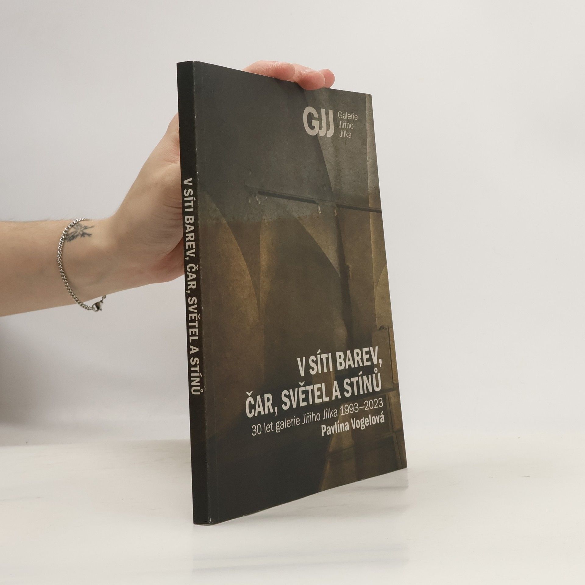 Pavlína Vogelová V síti barev, čar, světel a stínů : 30 let Galerie Jiřího Jílka 1993-2023