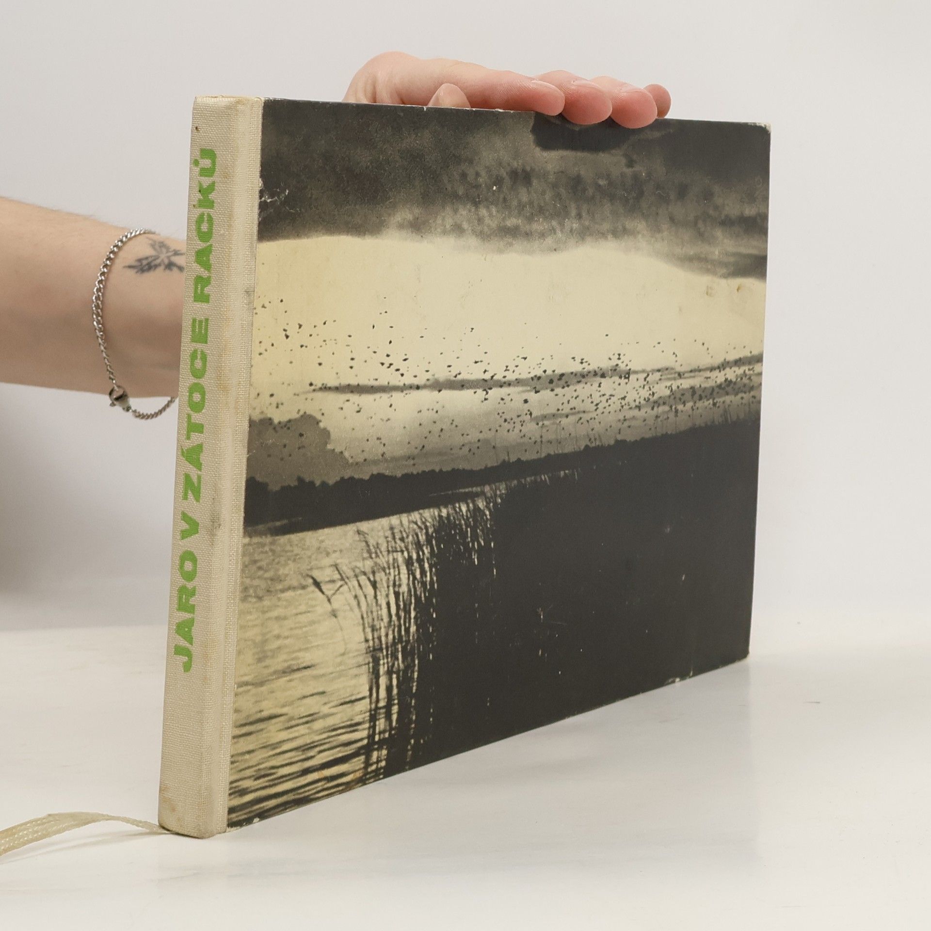 Jan Rys Jaro v zátoce racků