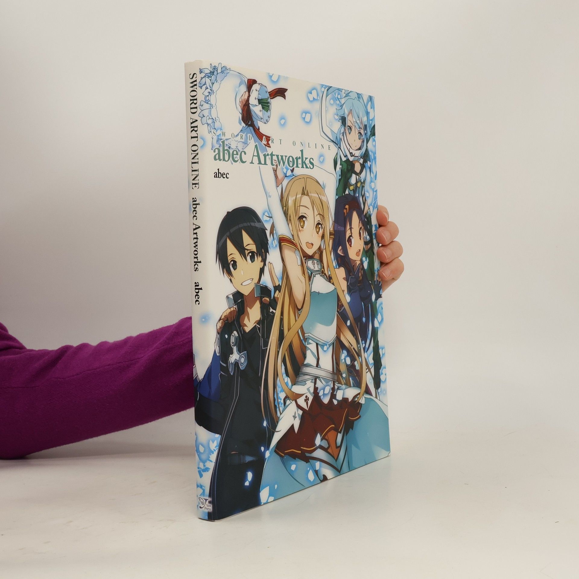 Ján Vrabec Sword Art Online Artworks