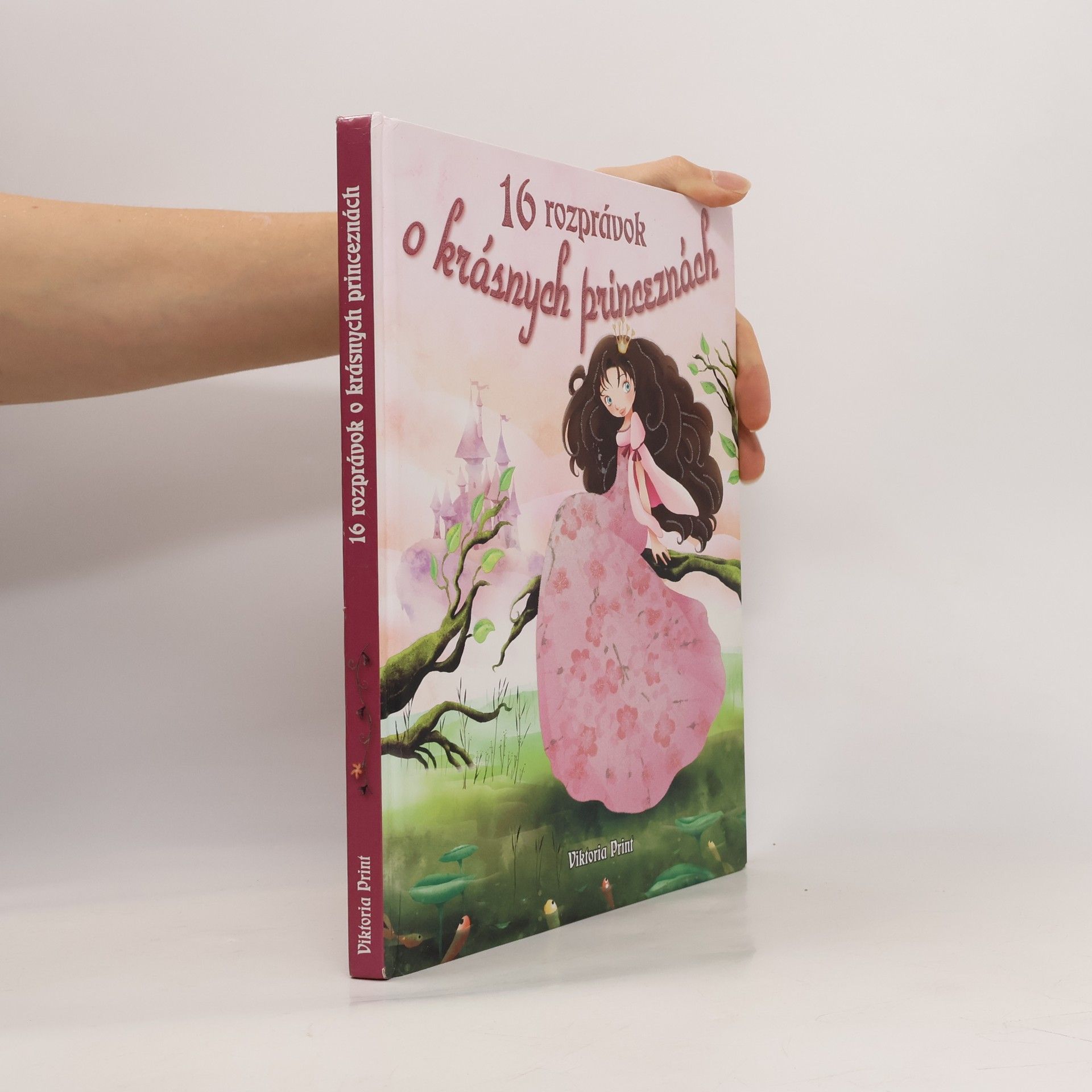 Kolektiv autorů 16 rozprávok o krásnych princeznách