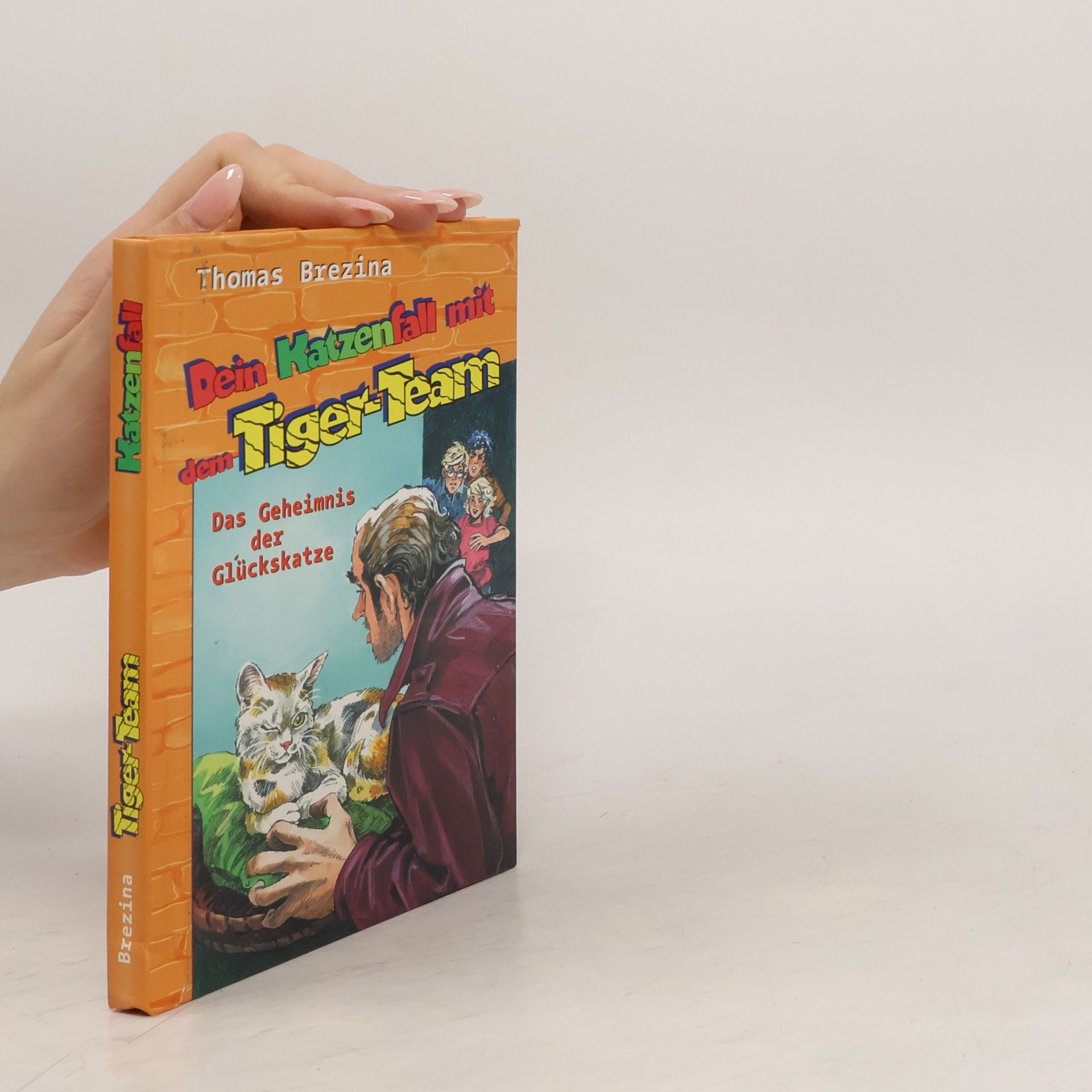 Thomas Brezina Dein Katzenfall mit dem Tiger-Team. Das Geheimnis der Glückskatze