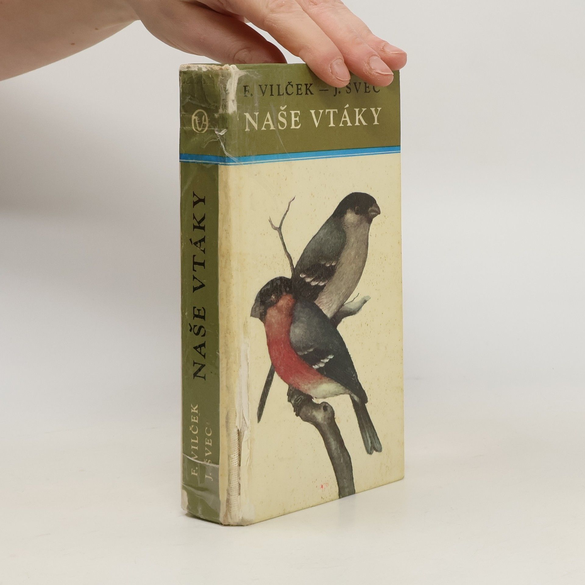 František Vilček Naše vtáky