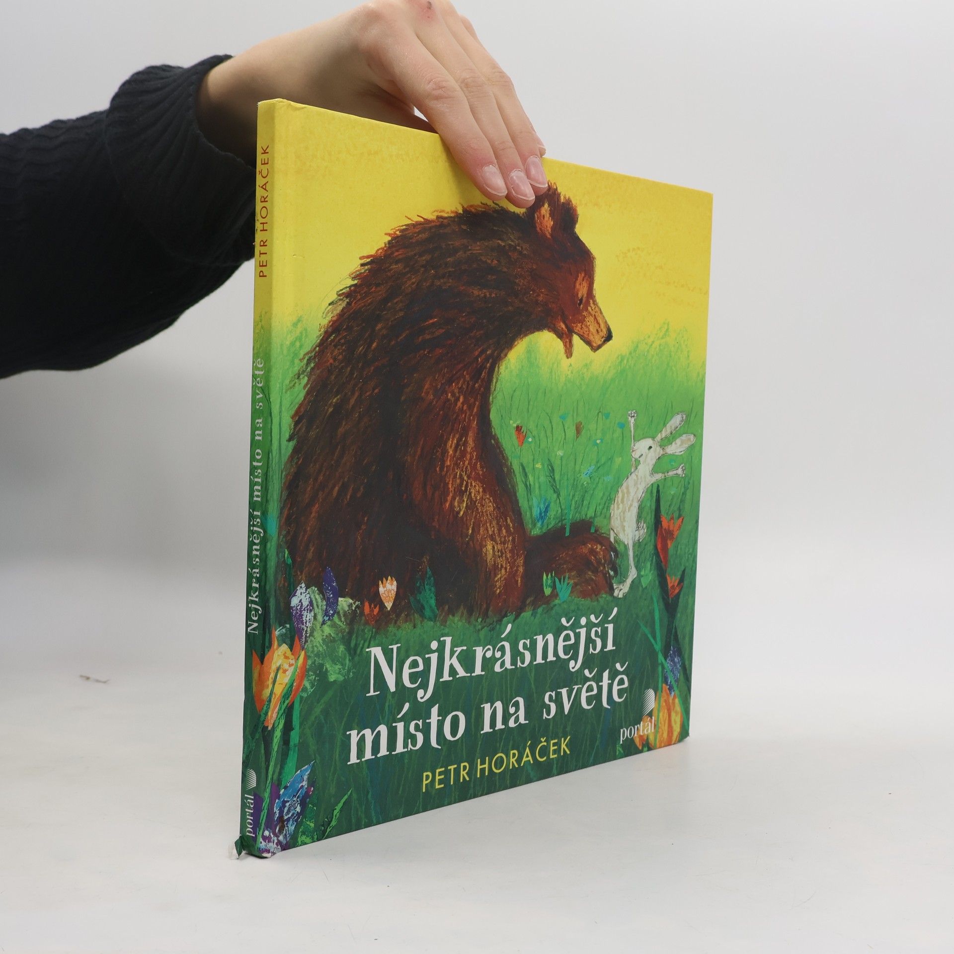 Petr Horácek Nejkrásnější místo na světě