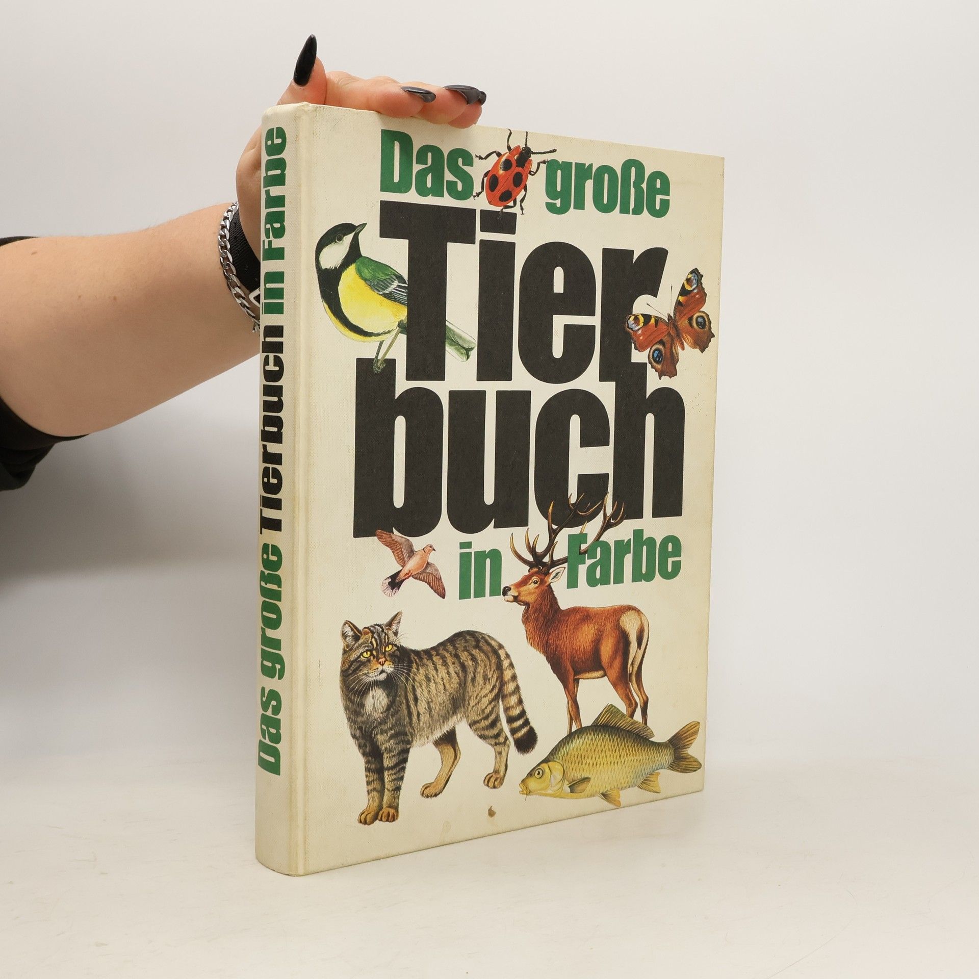 Auteurscollectief Das große Tierbuch in Farbe