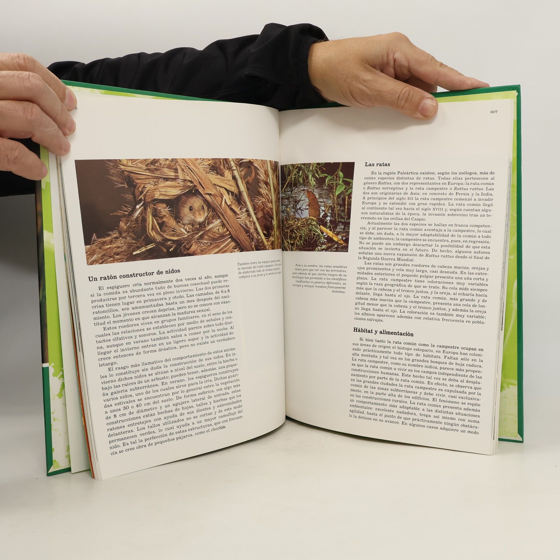 Félix Rodríguez de la Fuente Enciclopedia Salvat de la fauna ibérica y europea