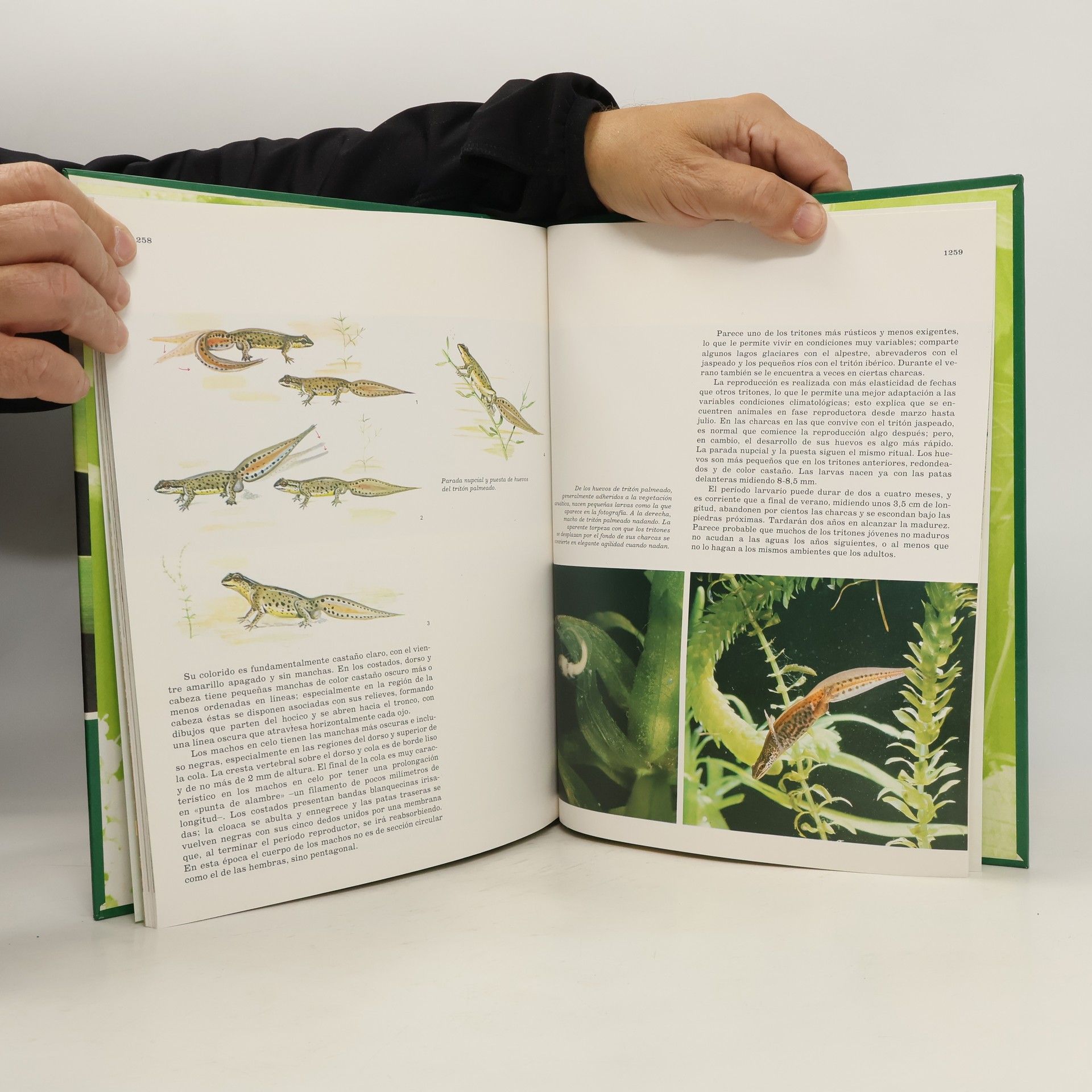 Félix Rodríguez de la Fuente Enciclopedia Salvat de la fauna ibérica y europea