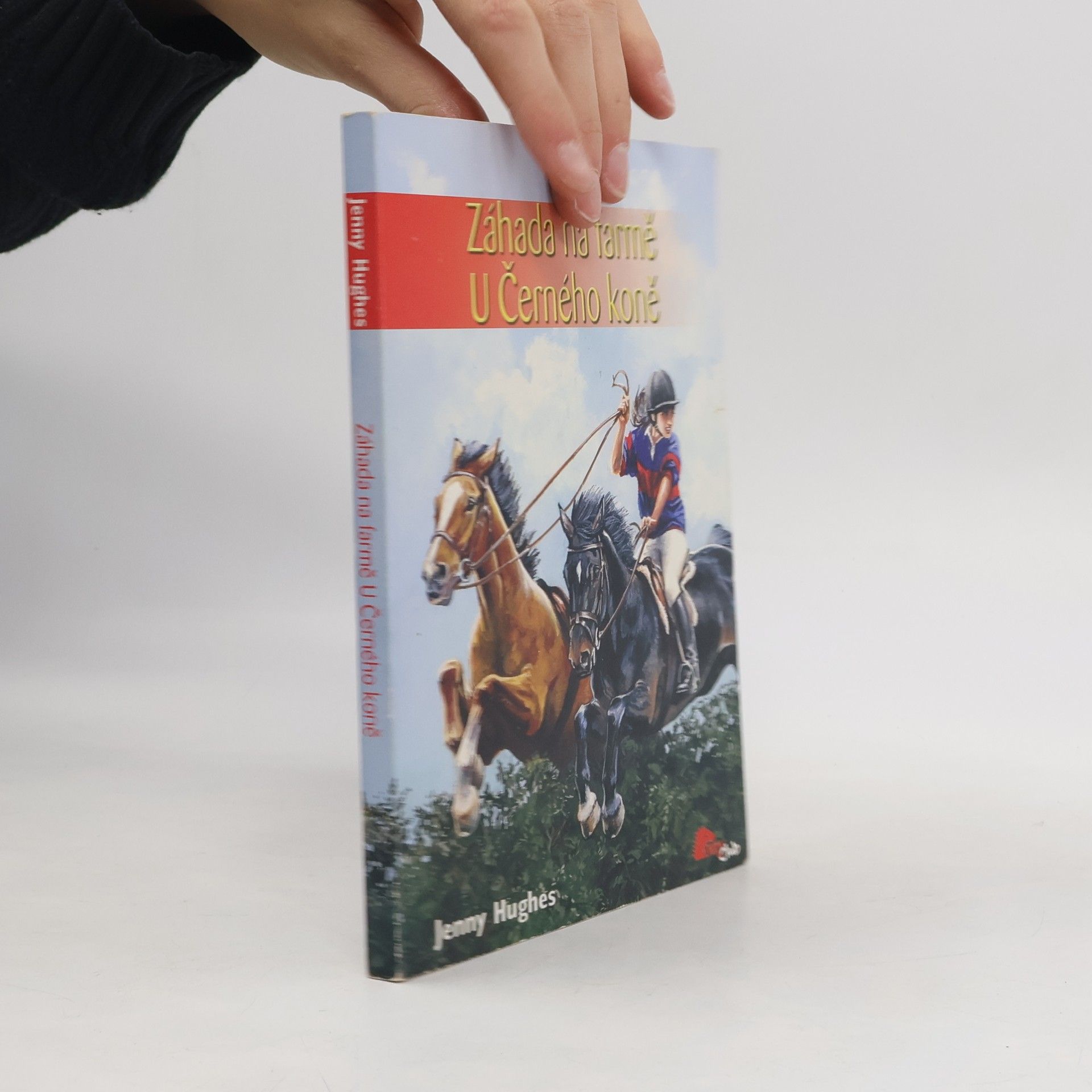 Jenny Hughes Záhada na farmě U Černého koně