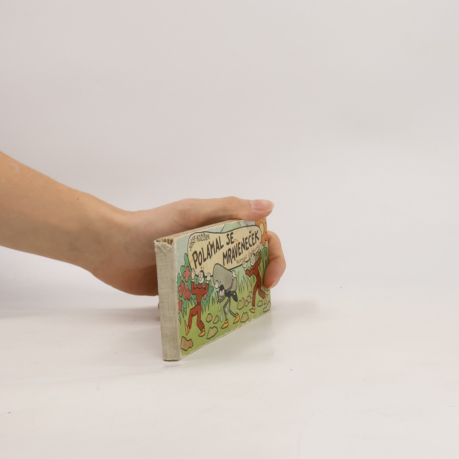 Polámal se mraveneček