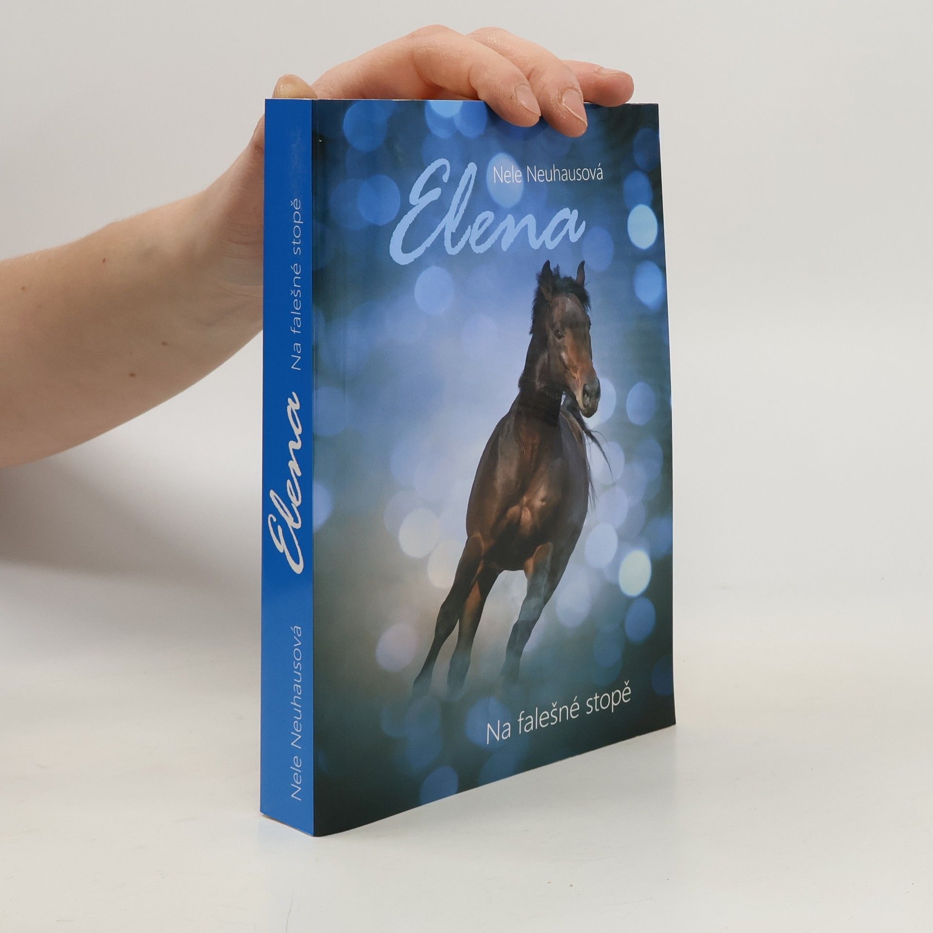 Nele Neuhaus Na falešné stopě