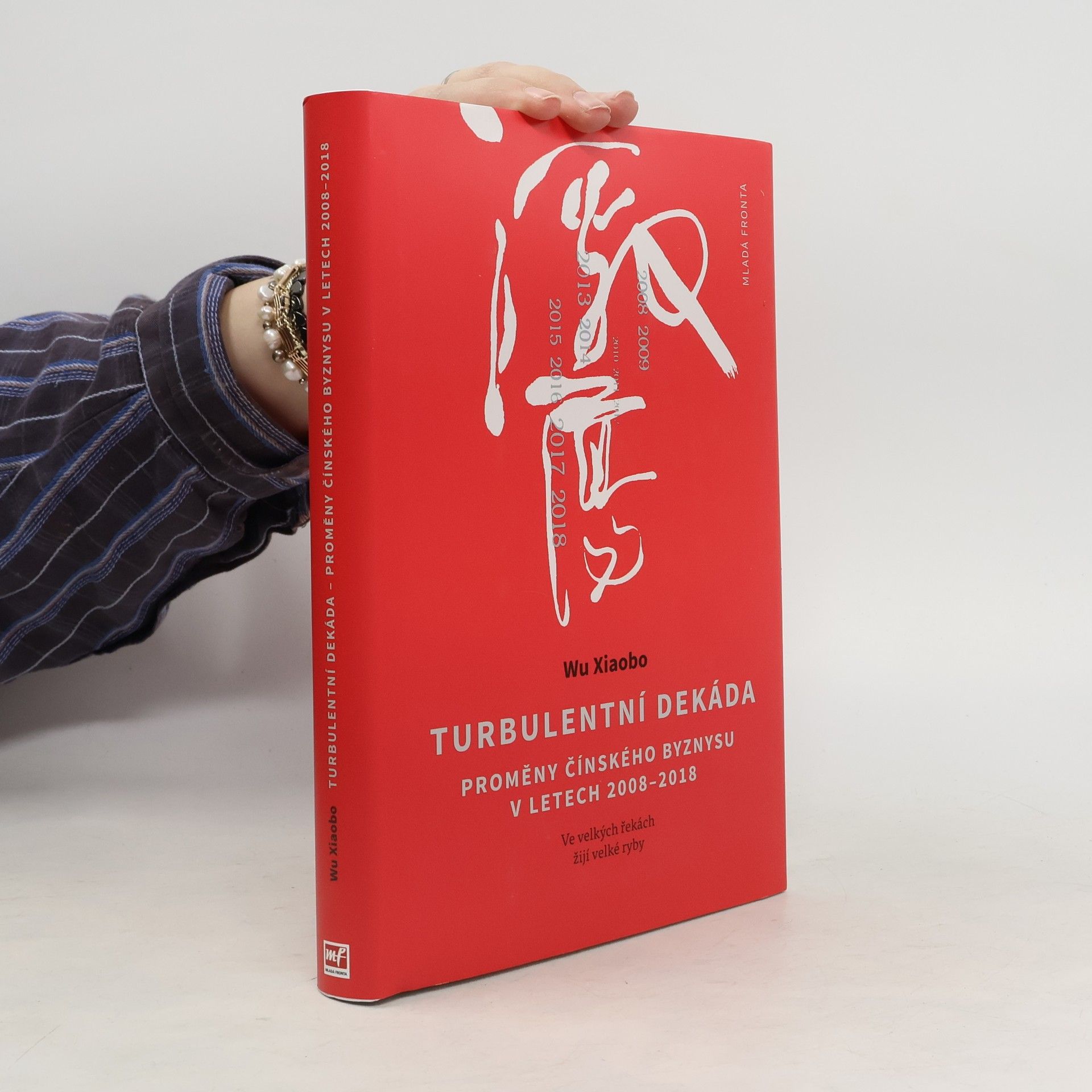 Turbulentní dekáda: Proměny čínského byznysu v letech 2008-2018