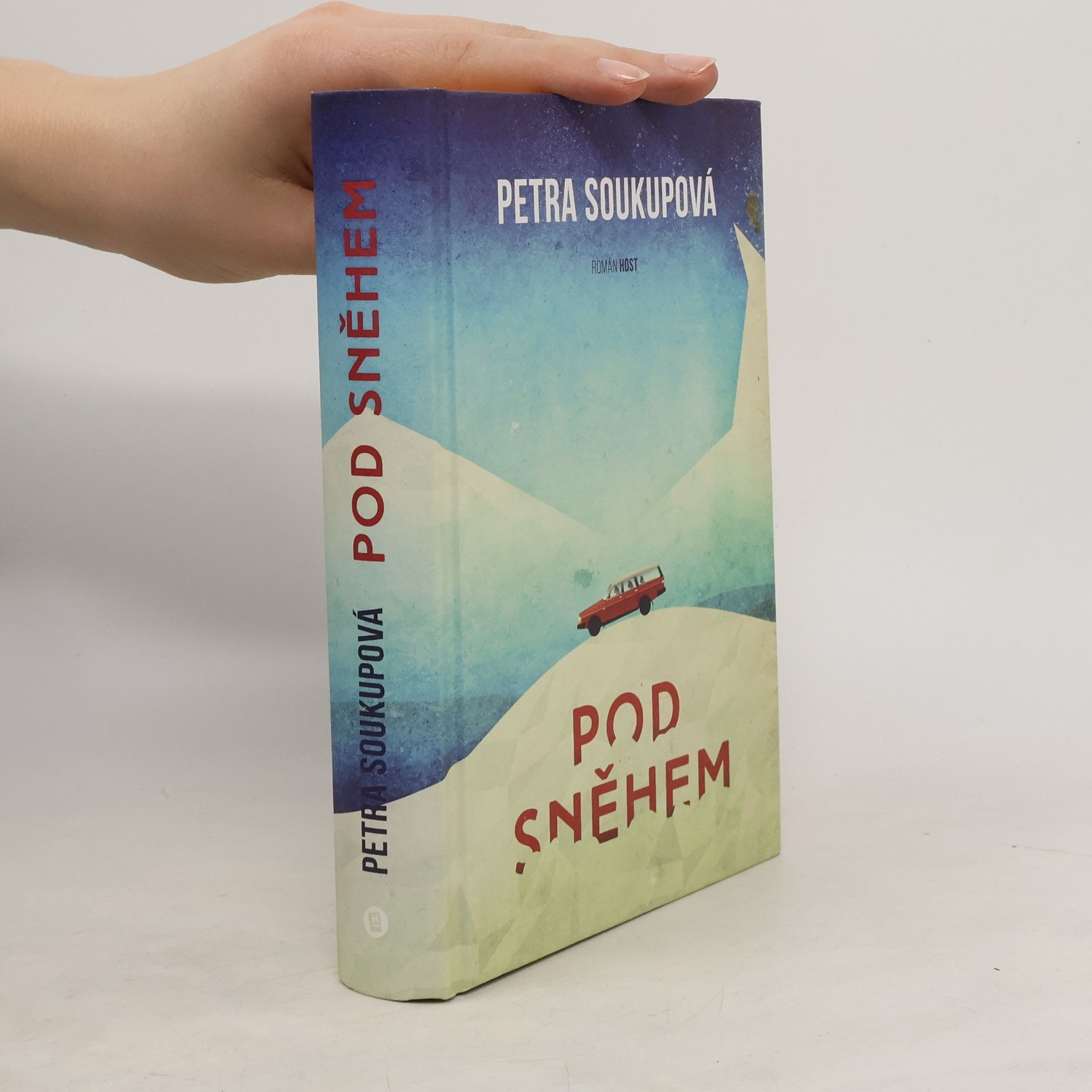 Petra Soukupova Pod sněhem