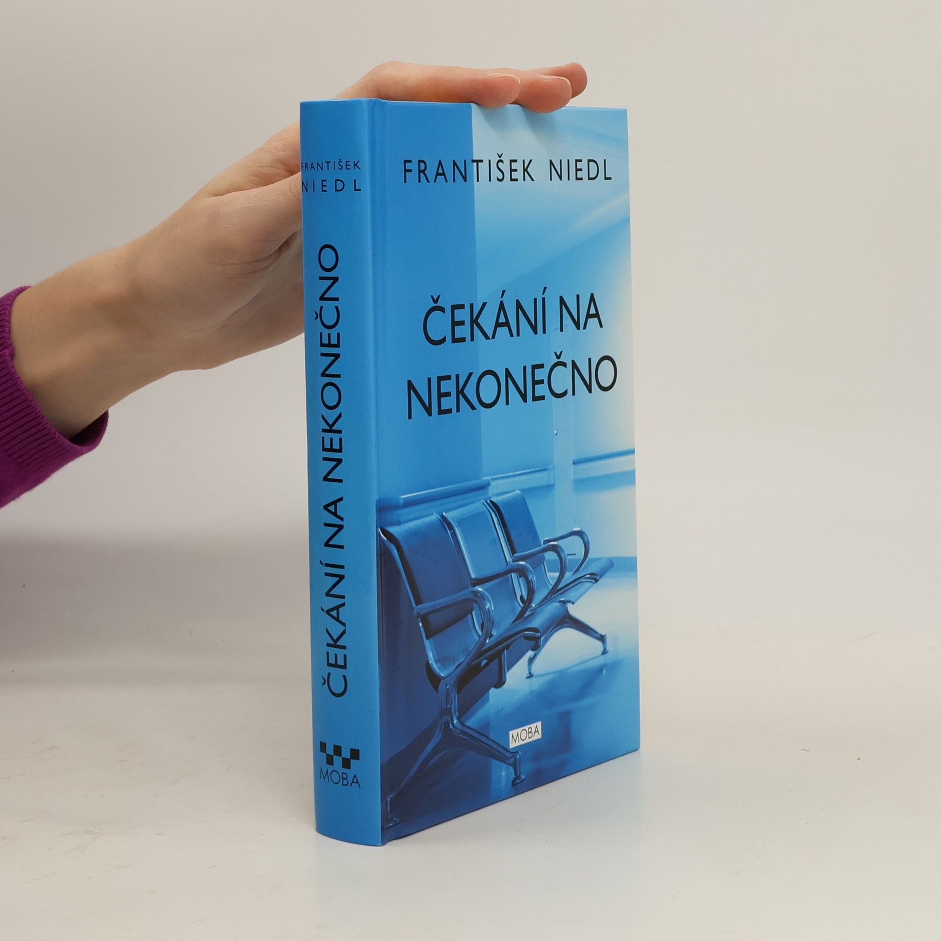 František Niedl Čekání na nekonečno