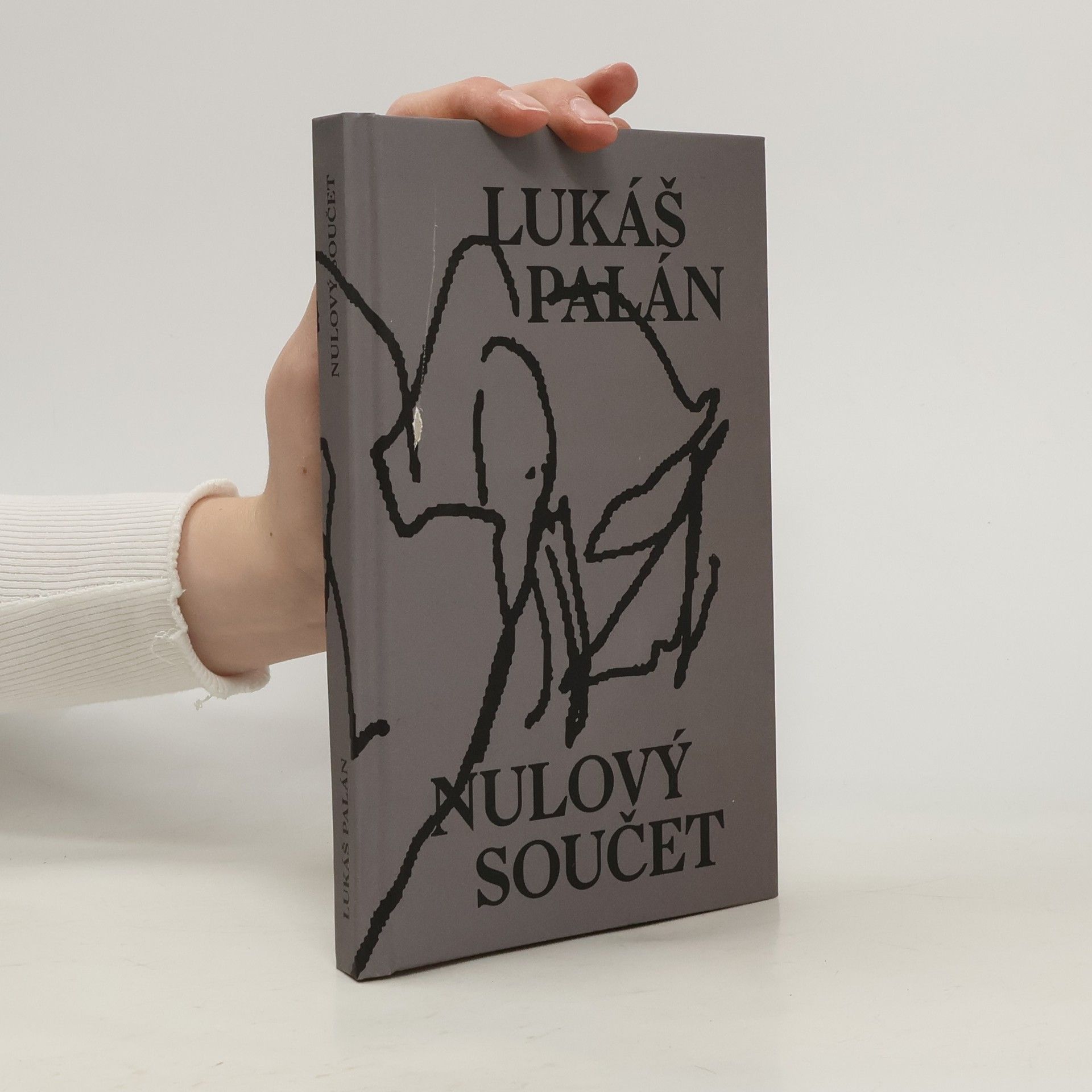 Lukáš Palán Nulový součet