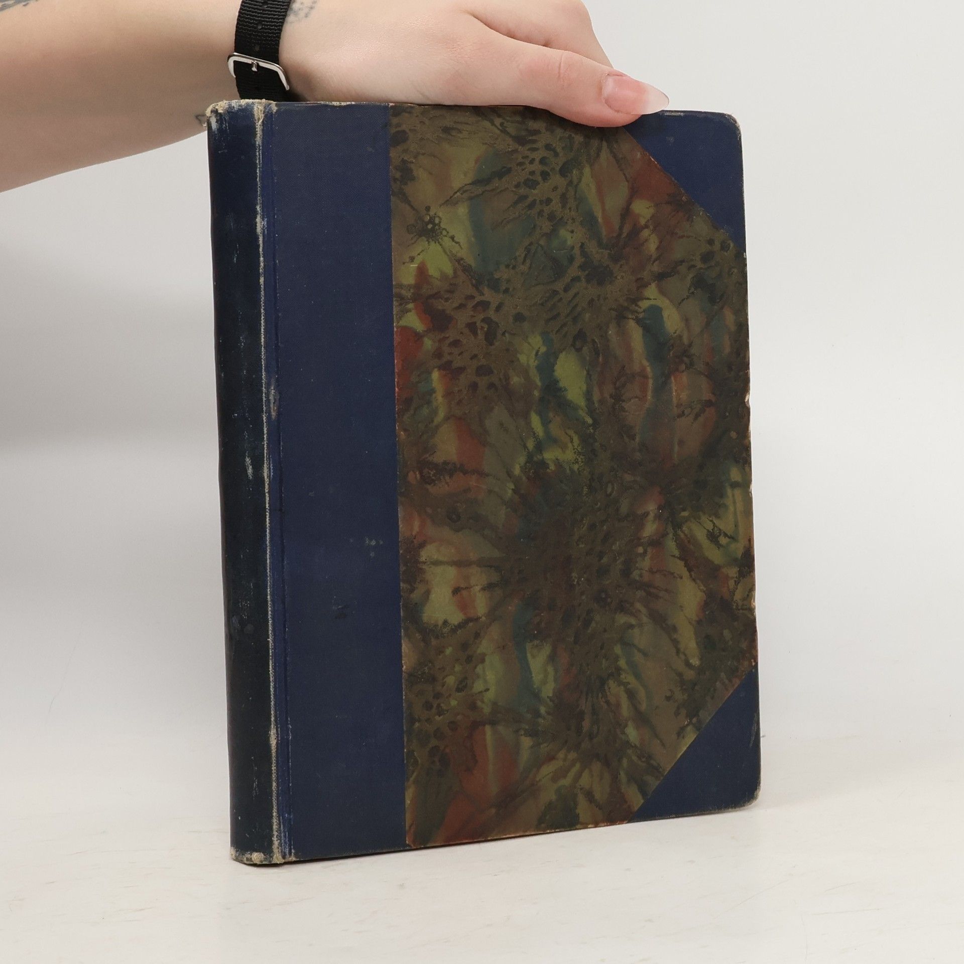 Piráti a bukanýři