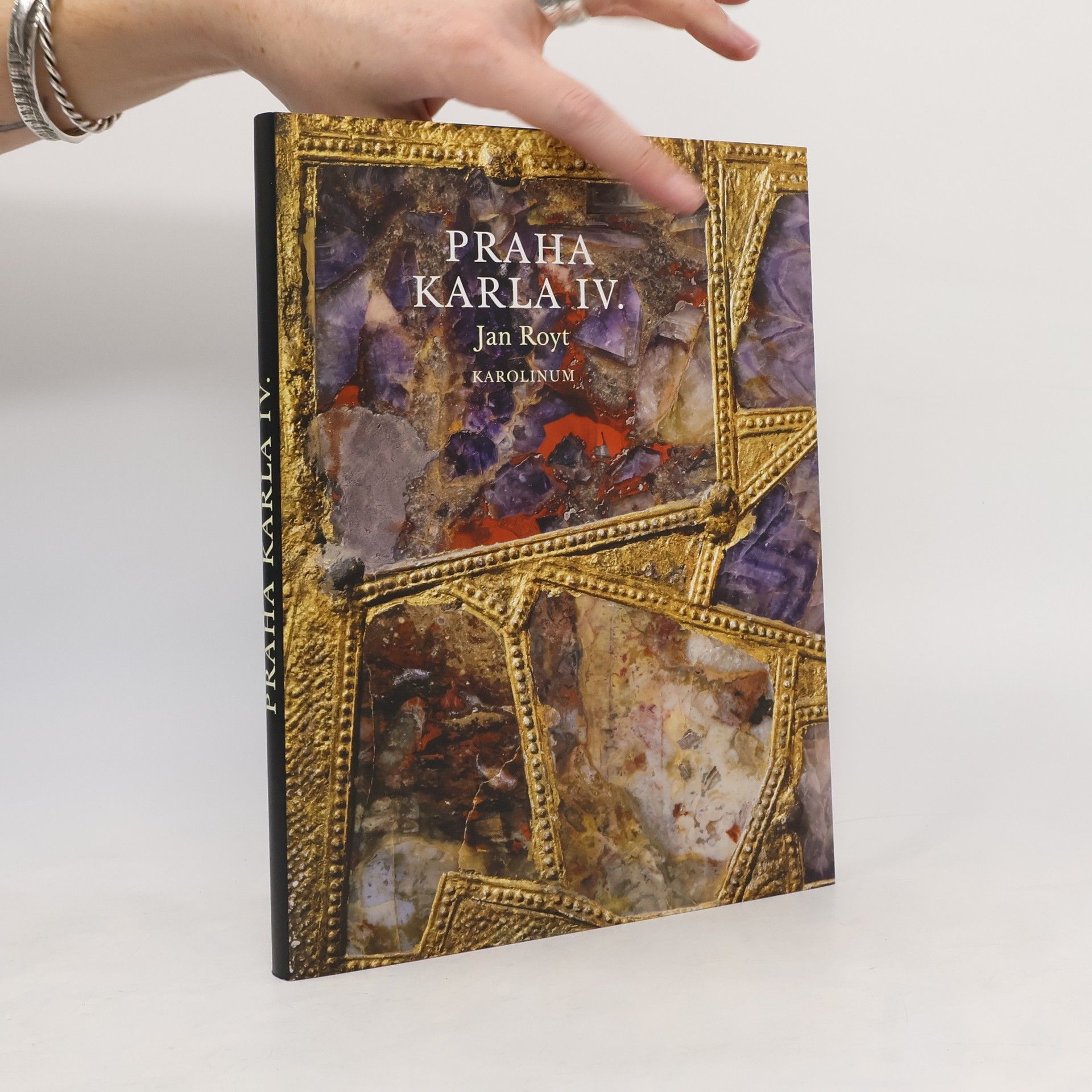 Jan Royt Praha Karla IV.