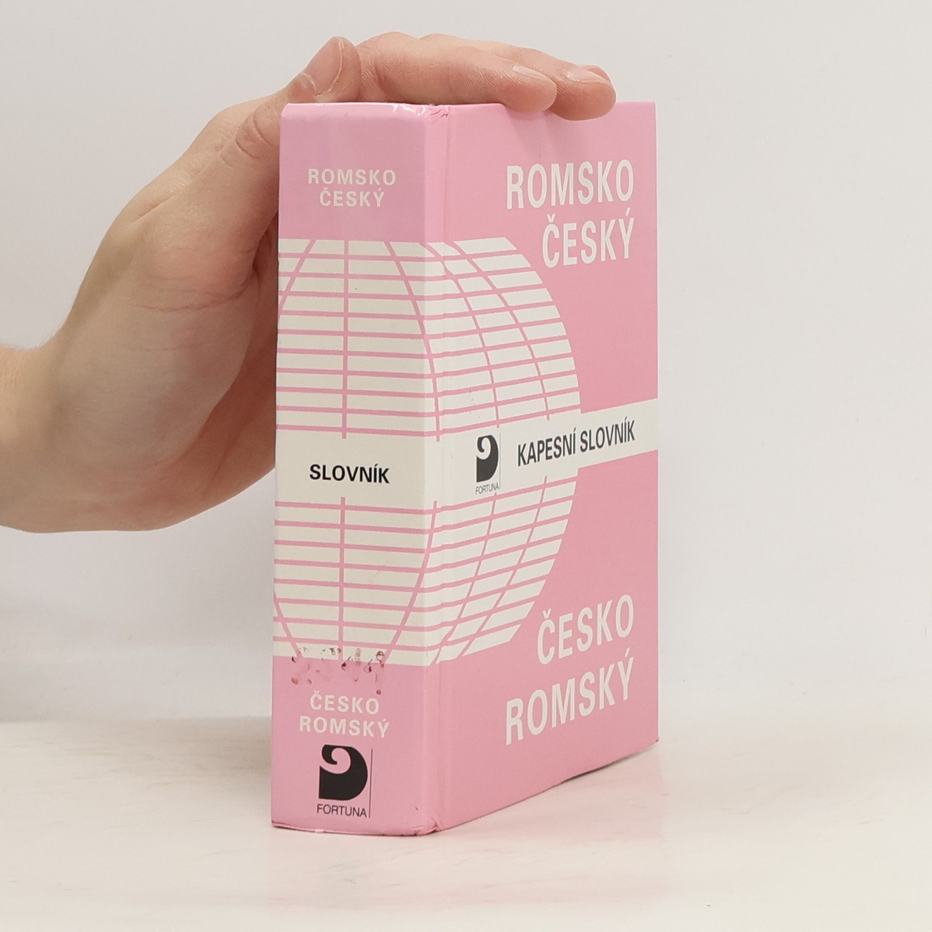 Milena Hübschmannová Romsko-český a česko-romský kapesní slovník