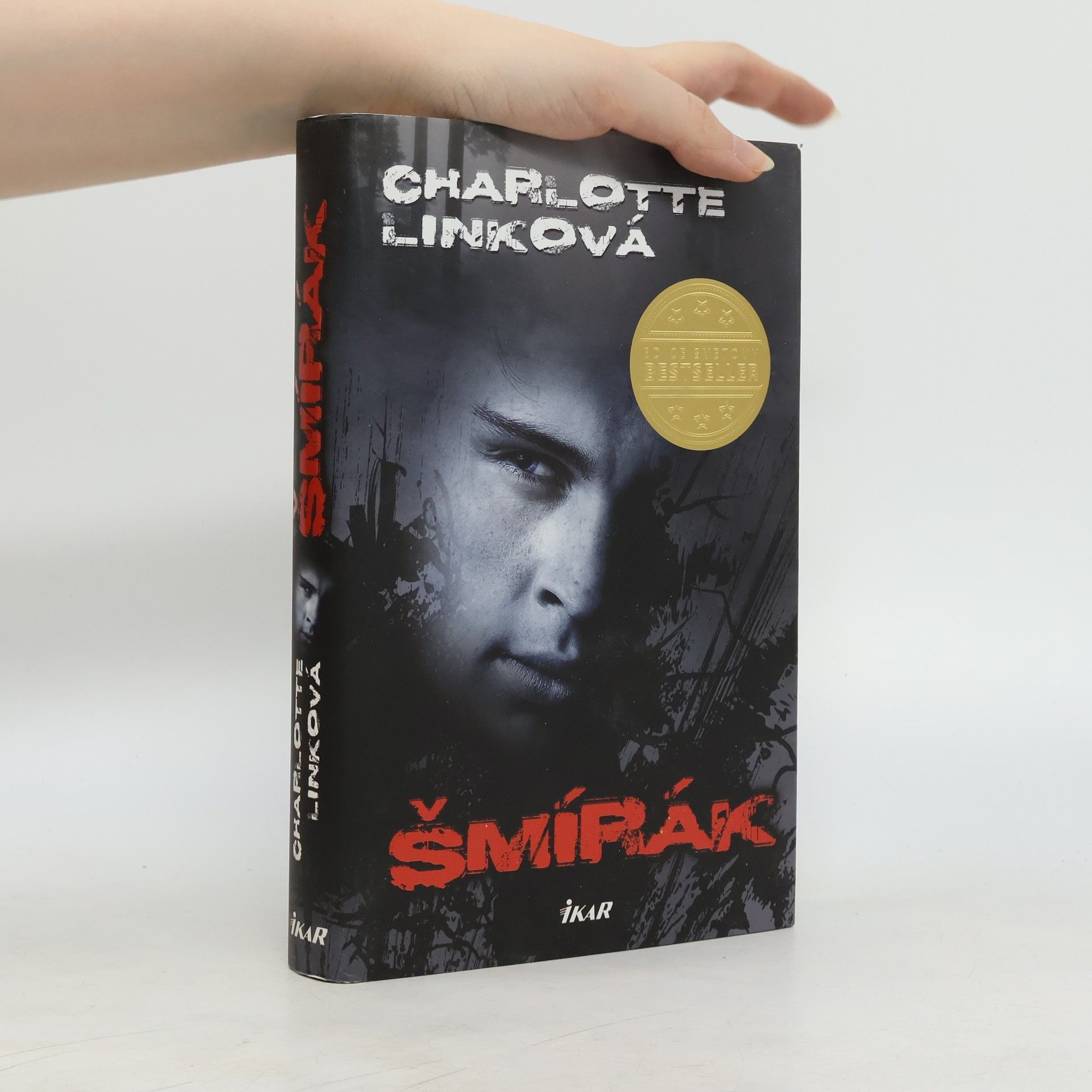 Charlotte Link Šmírák