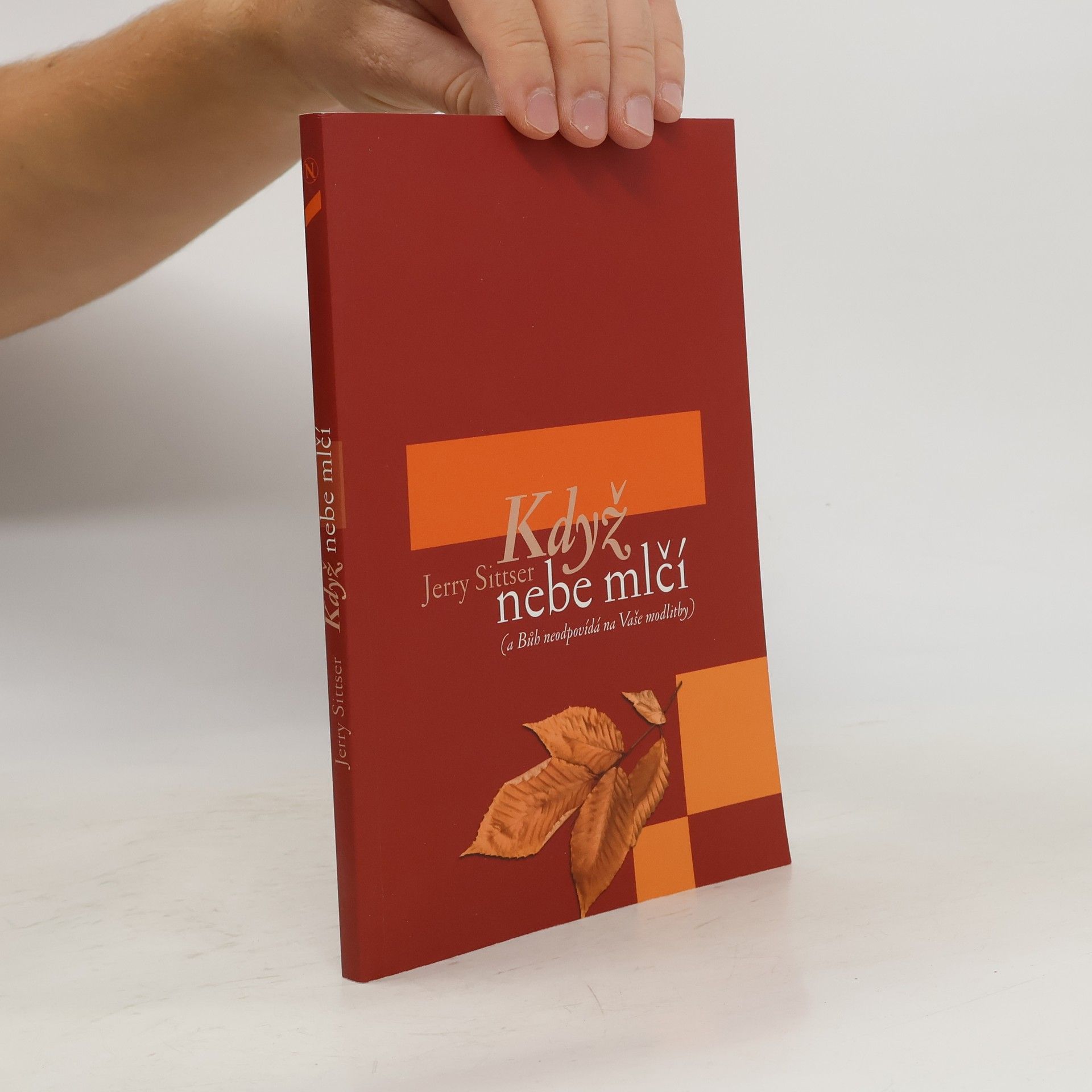 Jerry Sittser Když nebe mlčí