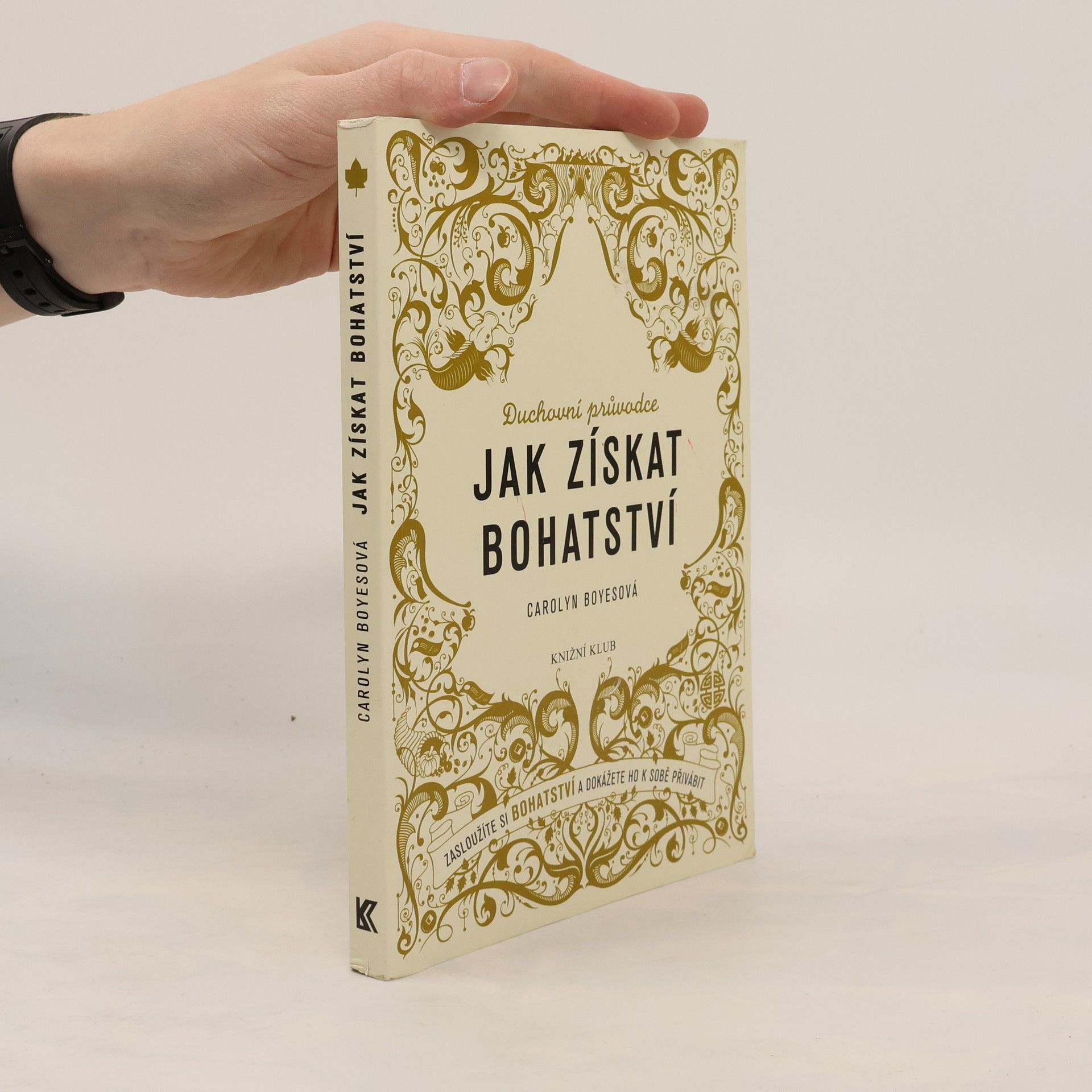 Carolyn Boyes Jak získat bohatství. Zasloužíte si bohatství a dokážete ho k sobě přivábit: Duchovní průvodce