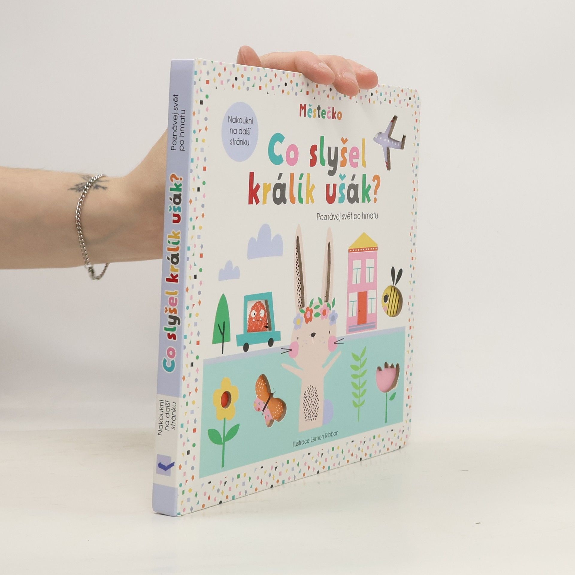 Graham Oakley Co slyšel králík ušák?