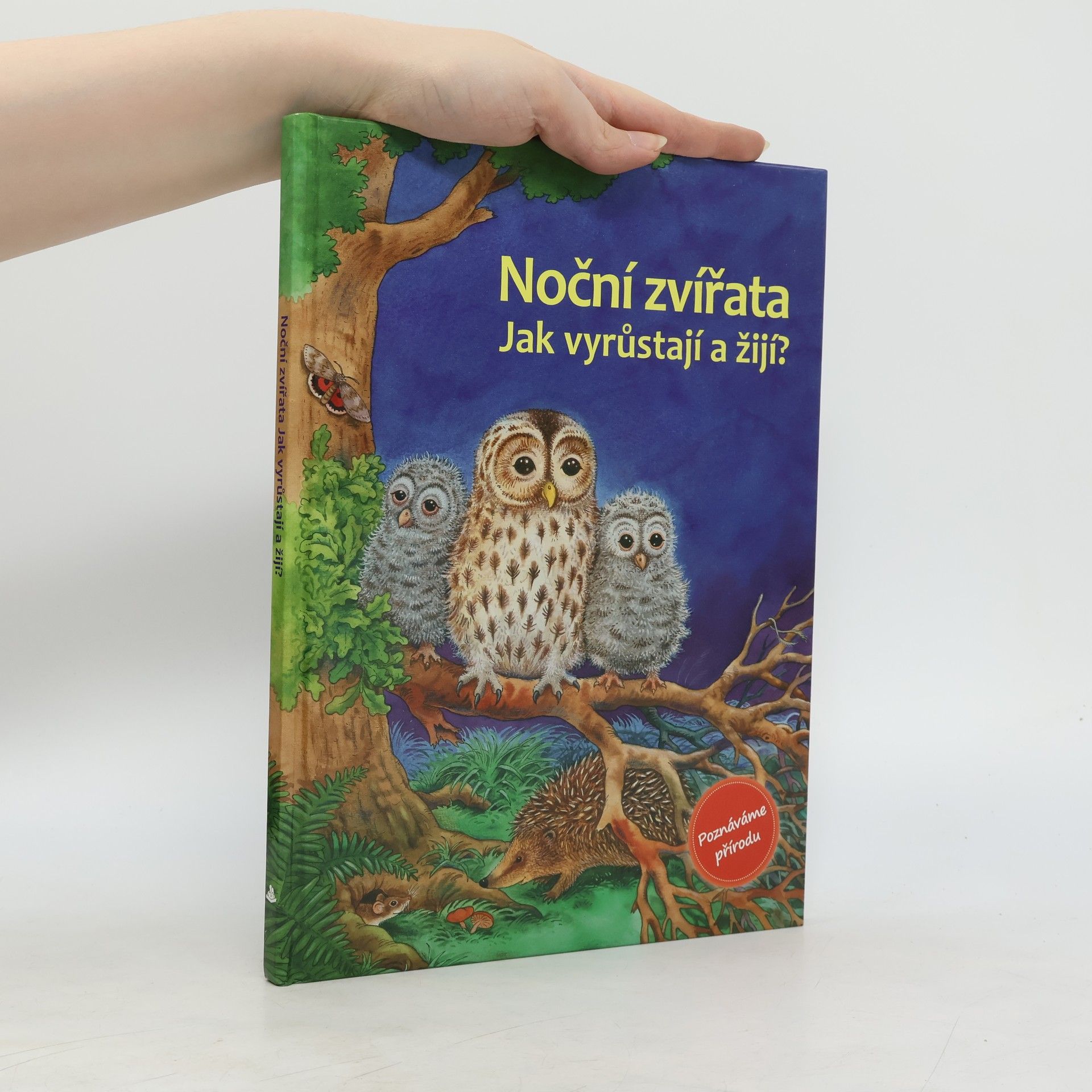 Noční zvířata : jak vyrůstají a žijí?