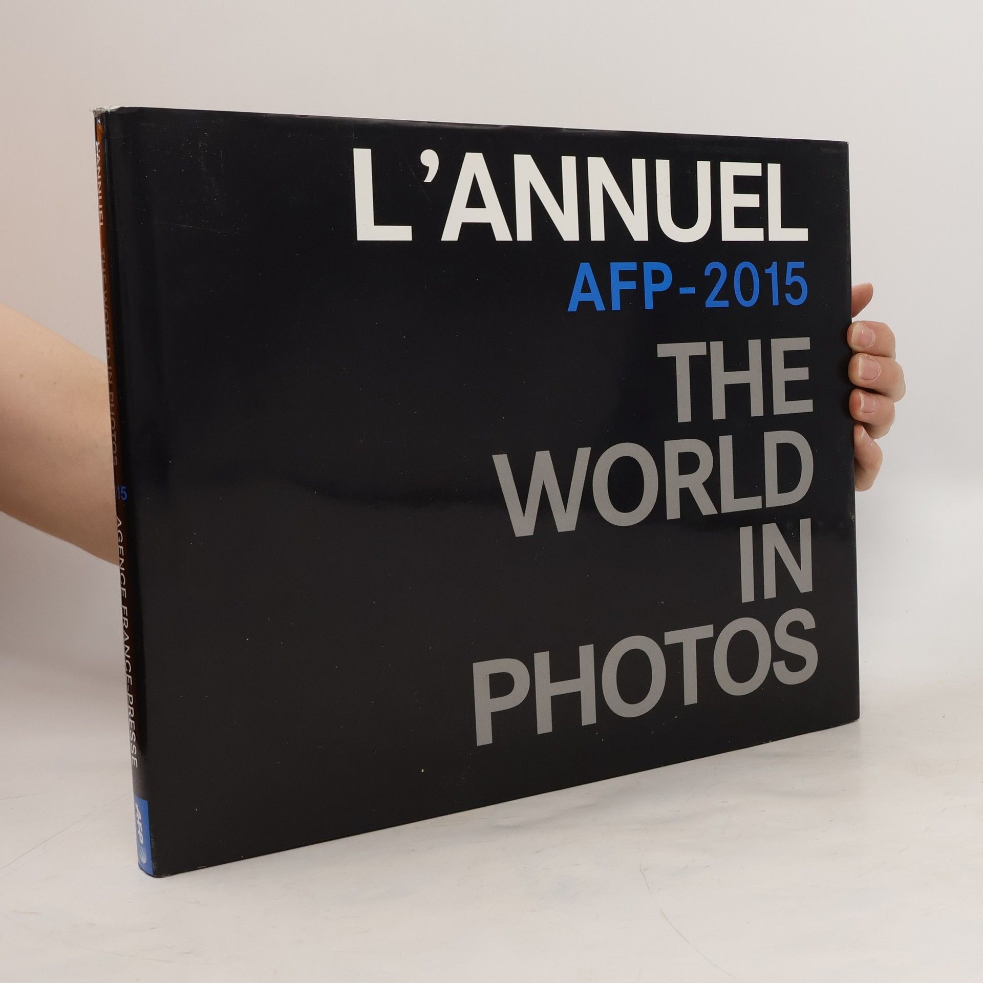 Emmanuel Hoog L'annuel 2015 de l'AFP