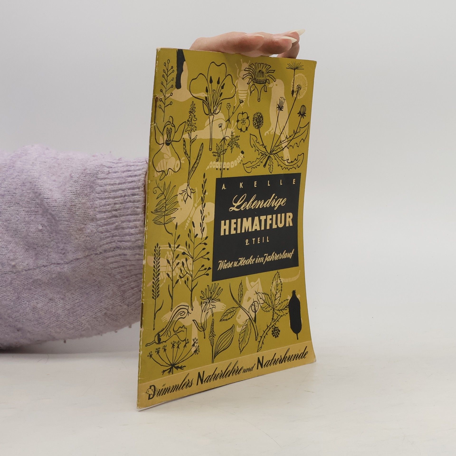 Lebendige Heimatflur 2.