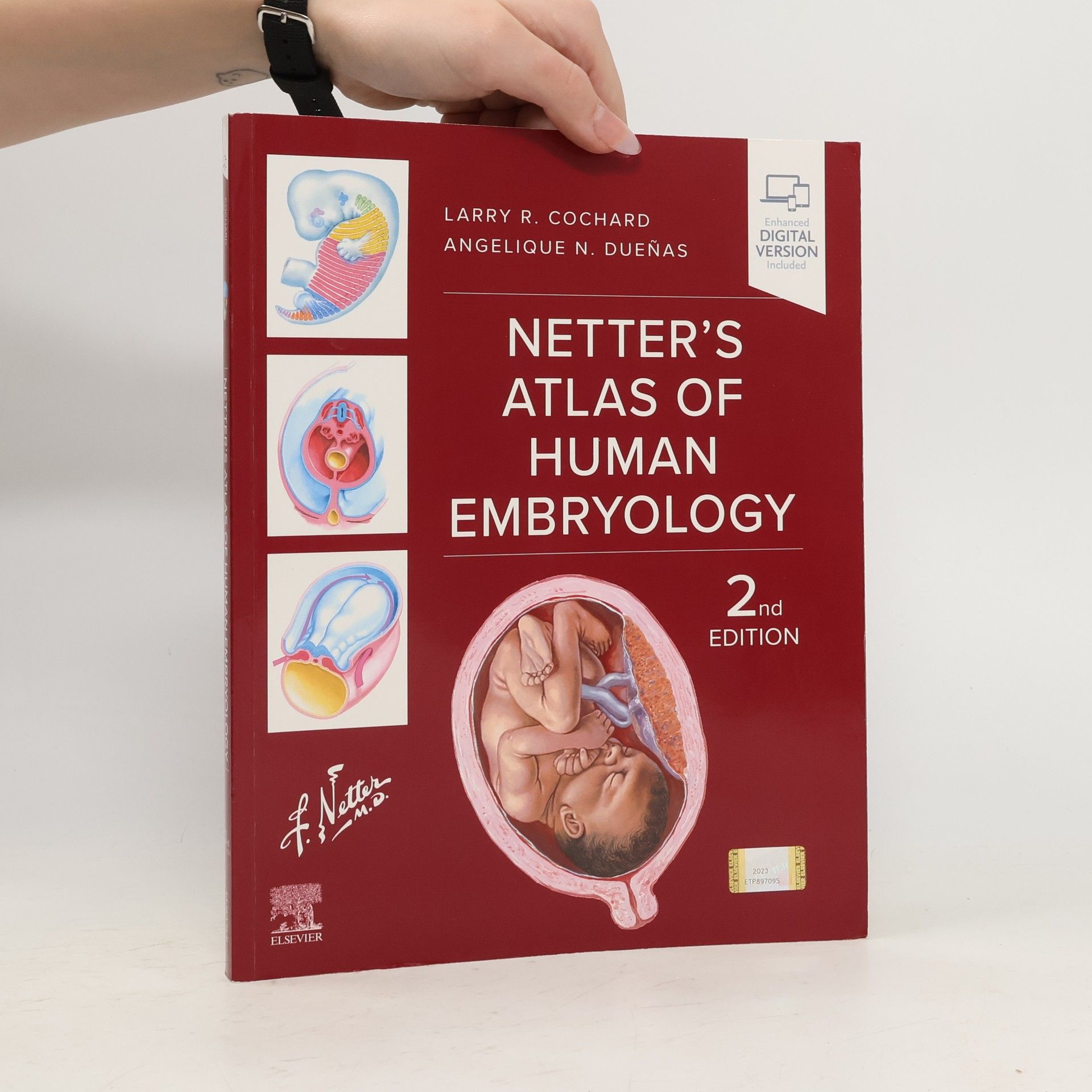 Netter's Atlas of Human Embryology - 2nd Edition