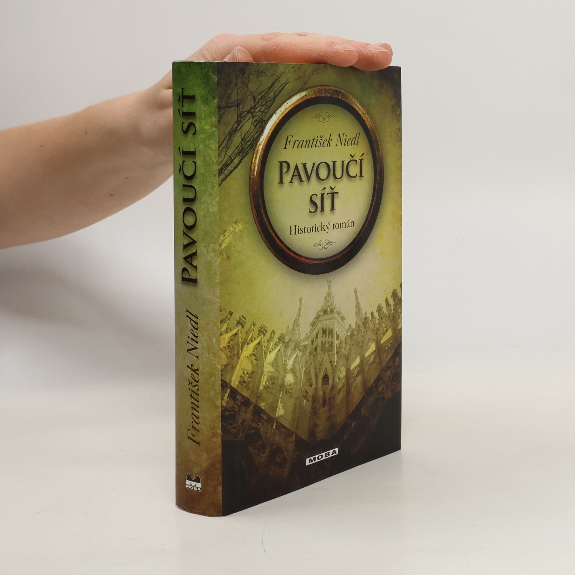 František Niedl Pavoučí síť : historický román
