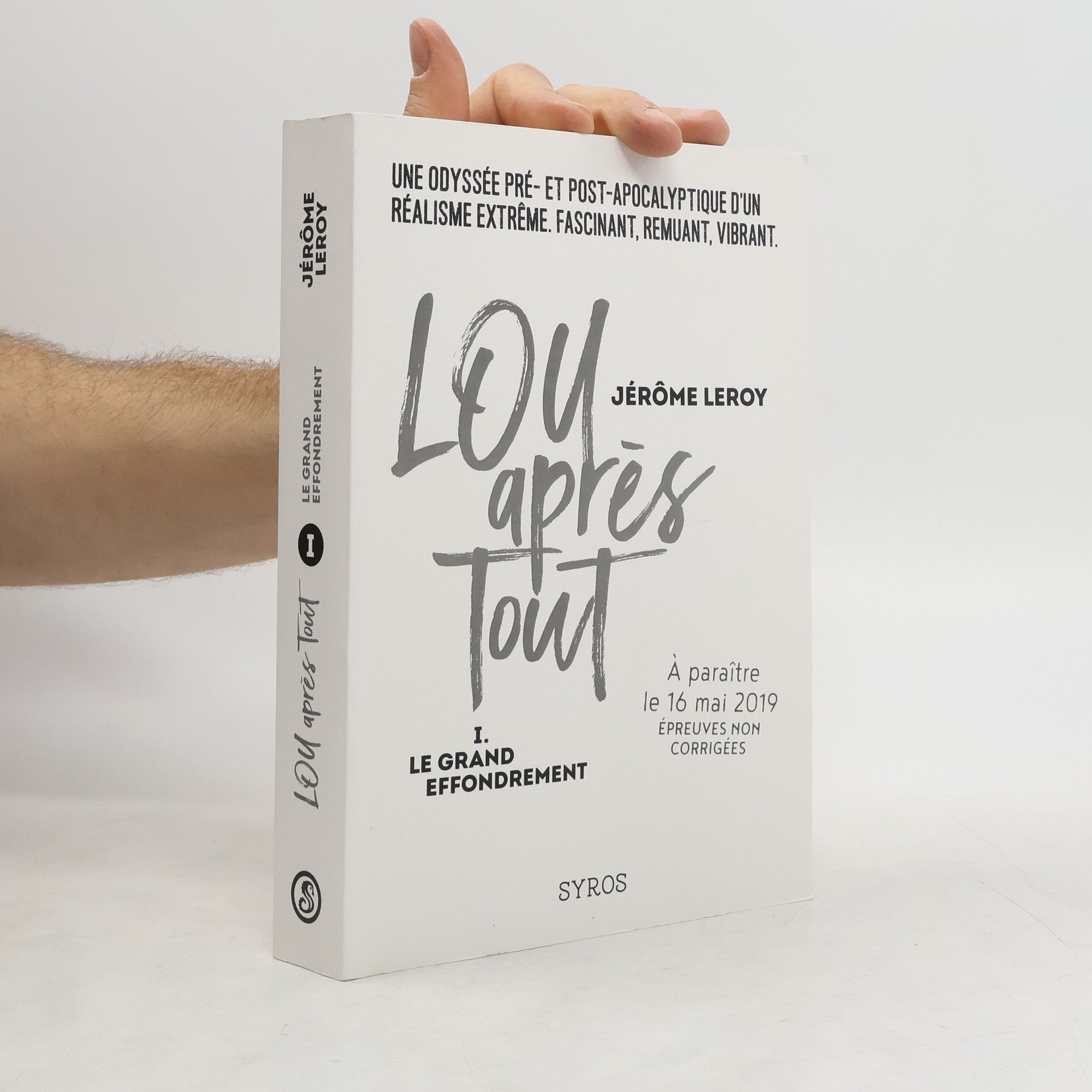 Lou, aprés tout I. Le grand effondrement