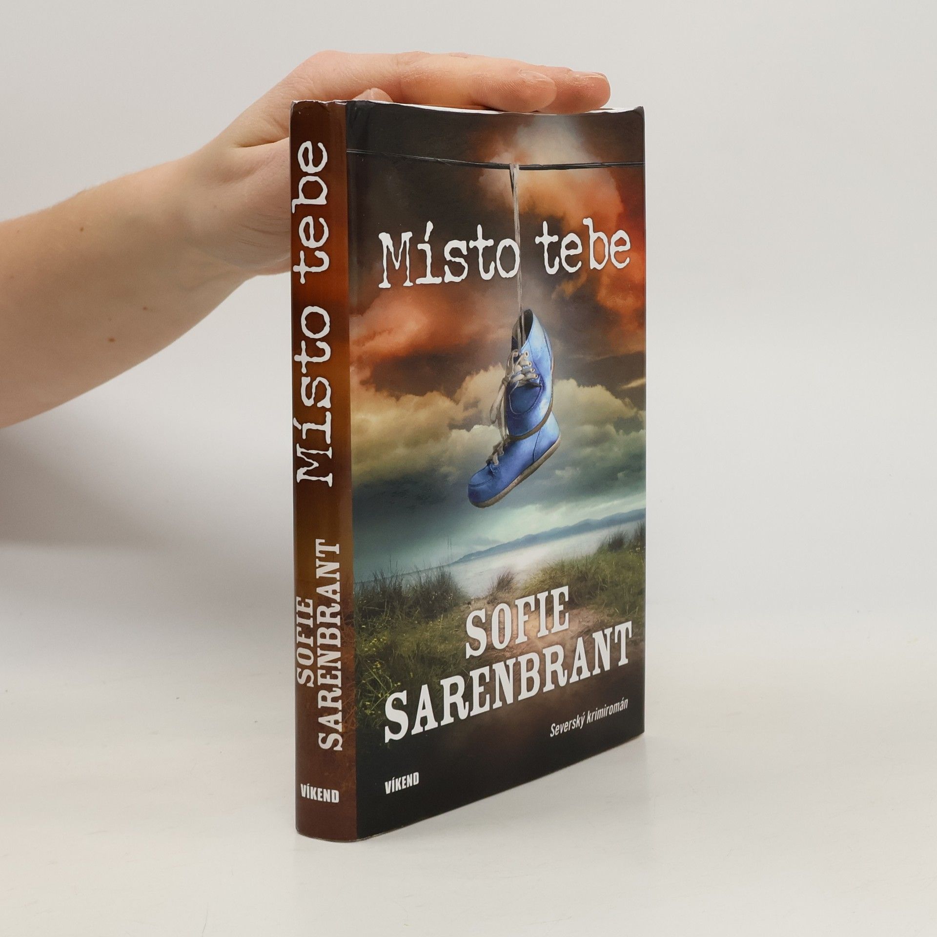 Sofie Sarenbrant Místo tebe