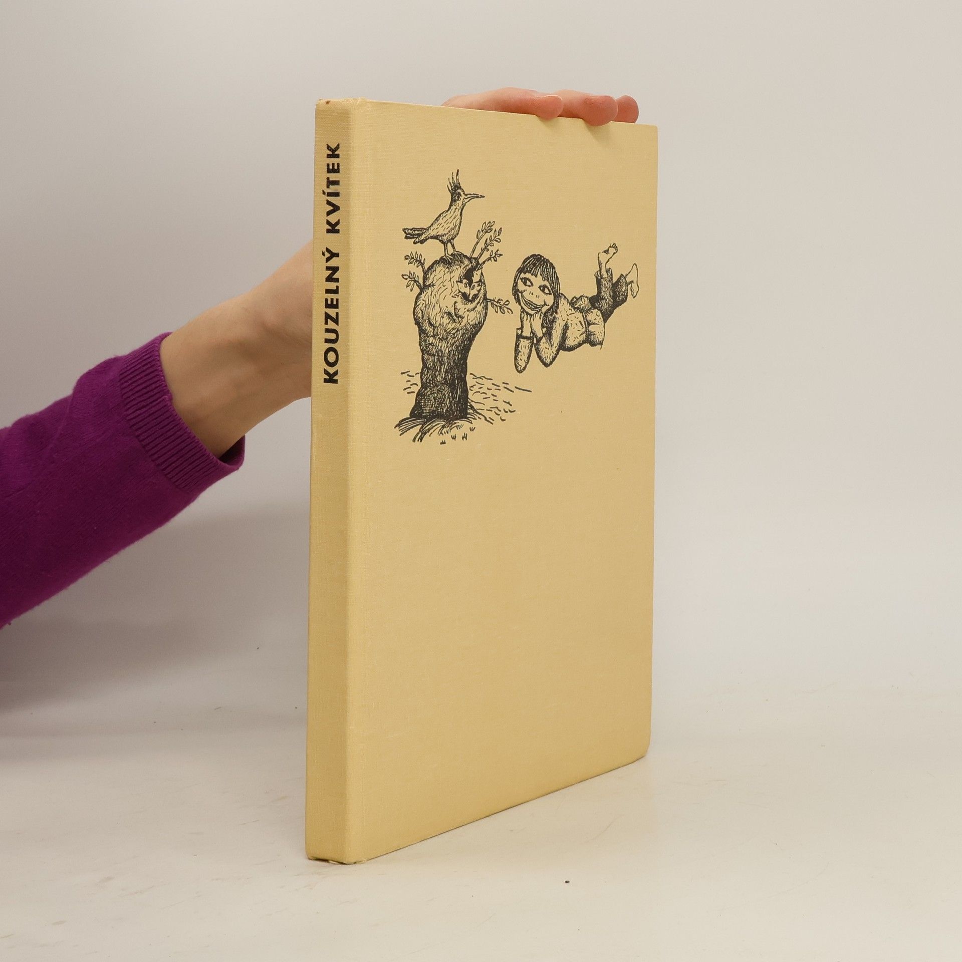 Kouzelný kvítek. Vyprávěnky z Valašska