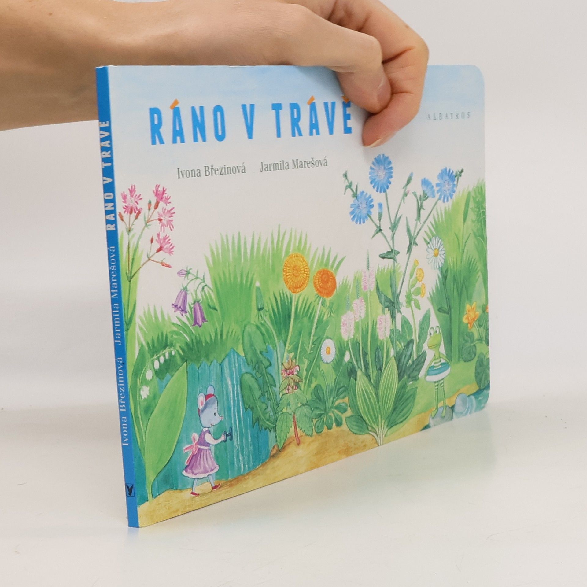 Ivona Březinová Ráno v trávě