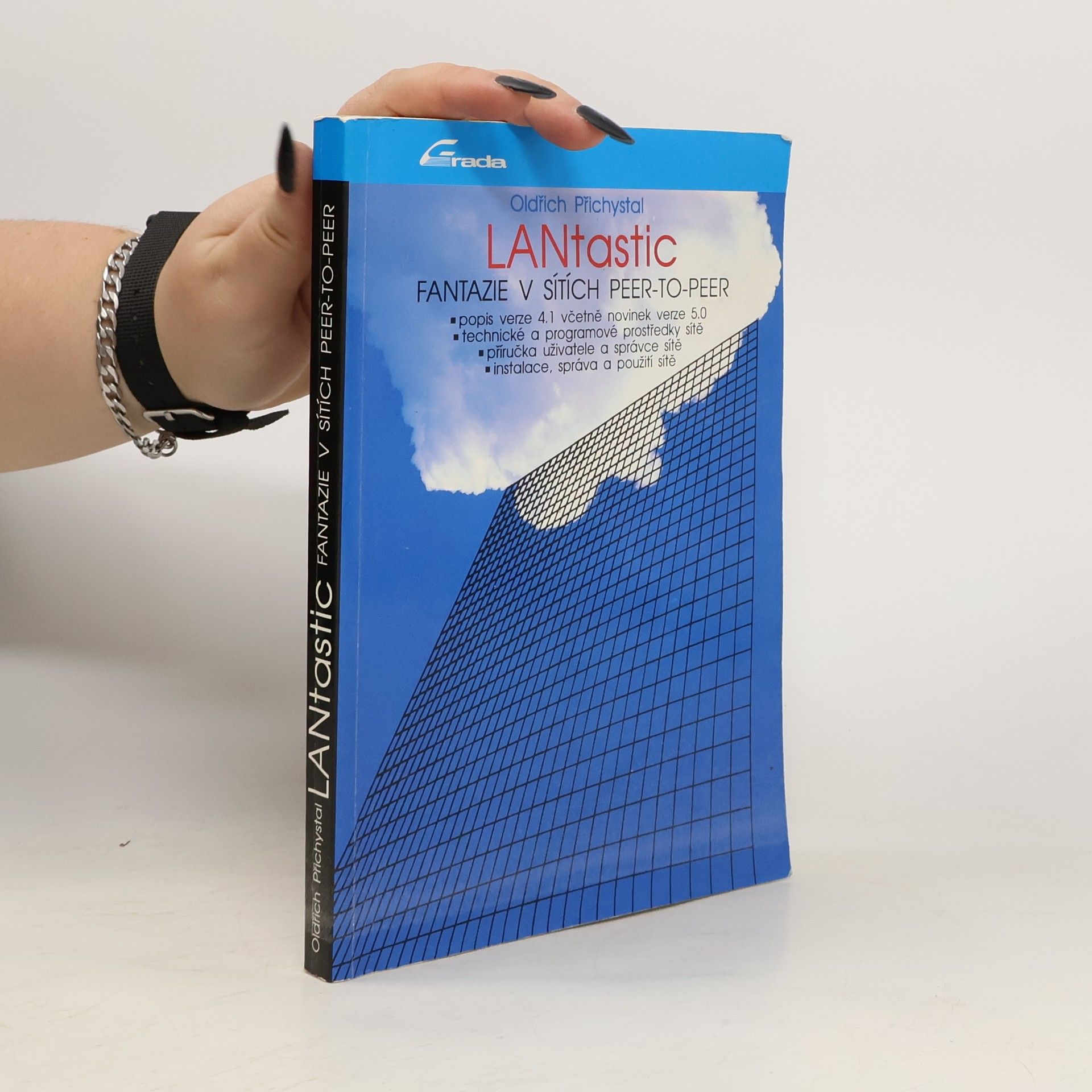 LANtastic : fantazie v sítích peer-to-peer