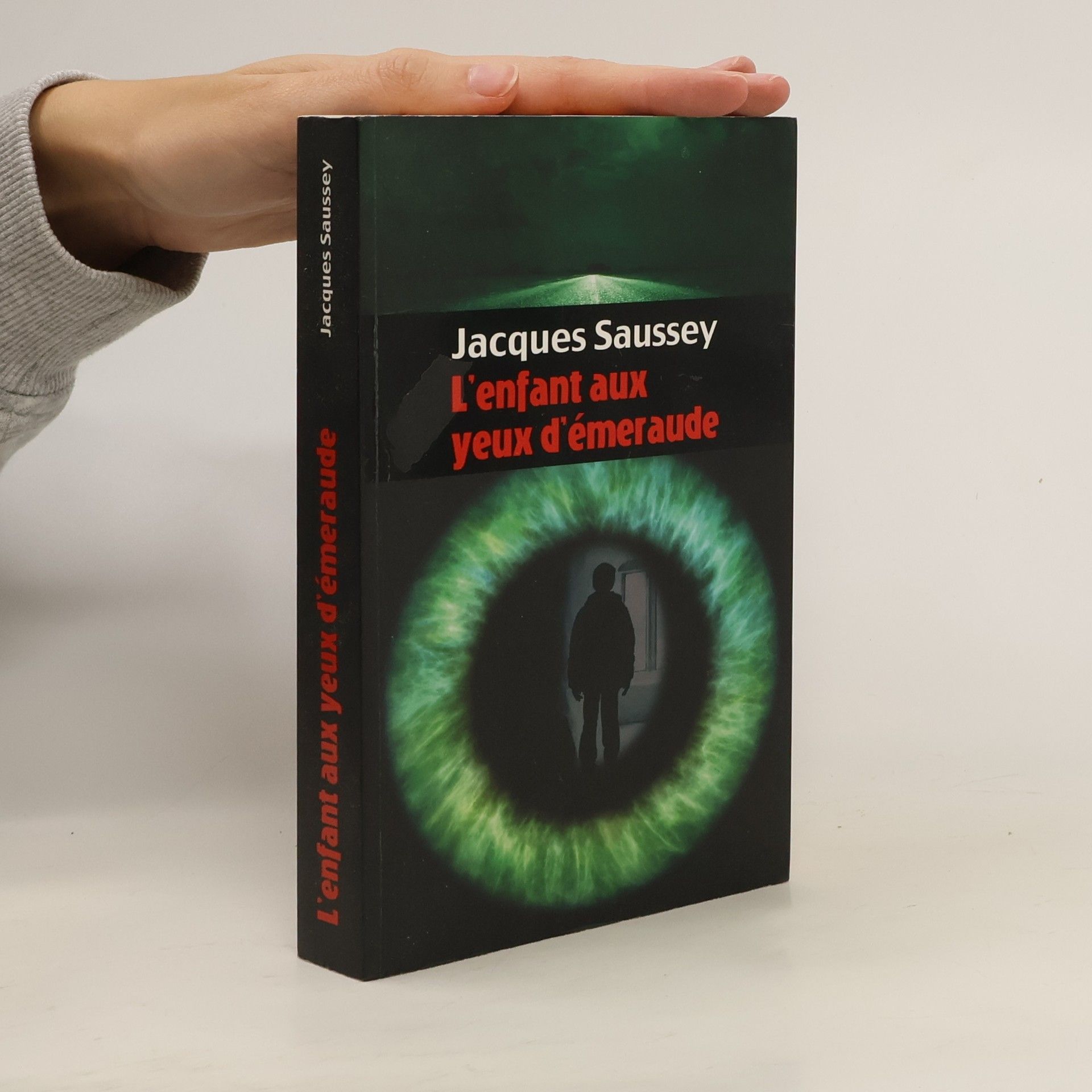 L'enfant aux yeux d'émeraude