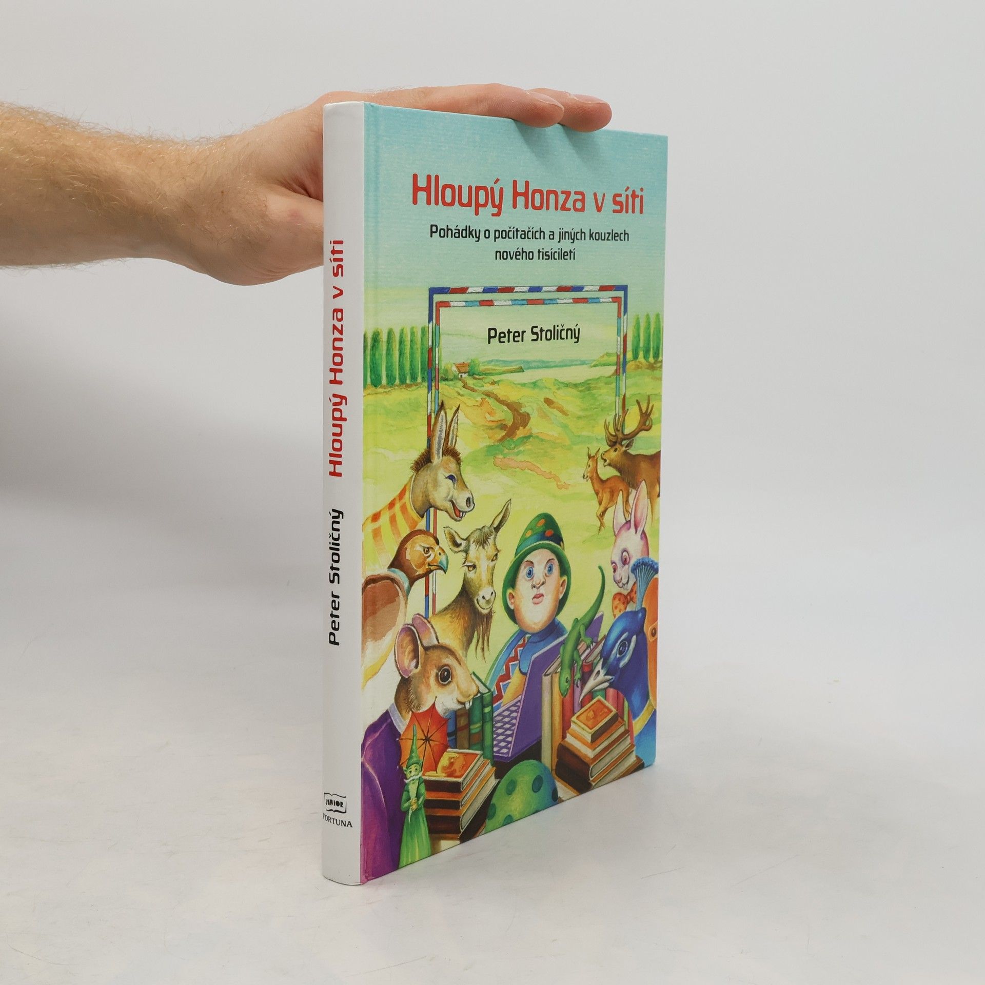 Hloupý Honza v síti: Pohádky o počítačích a jiných kouzlech nového tisíciletí